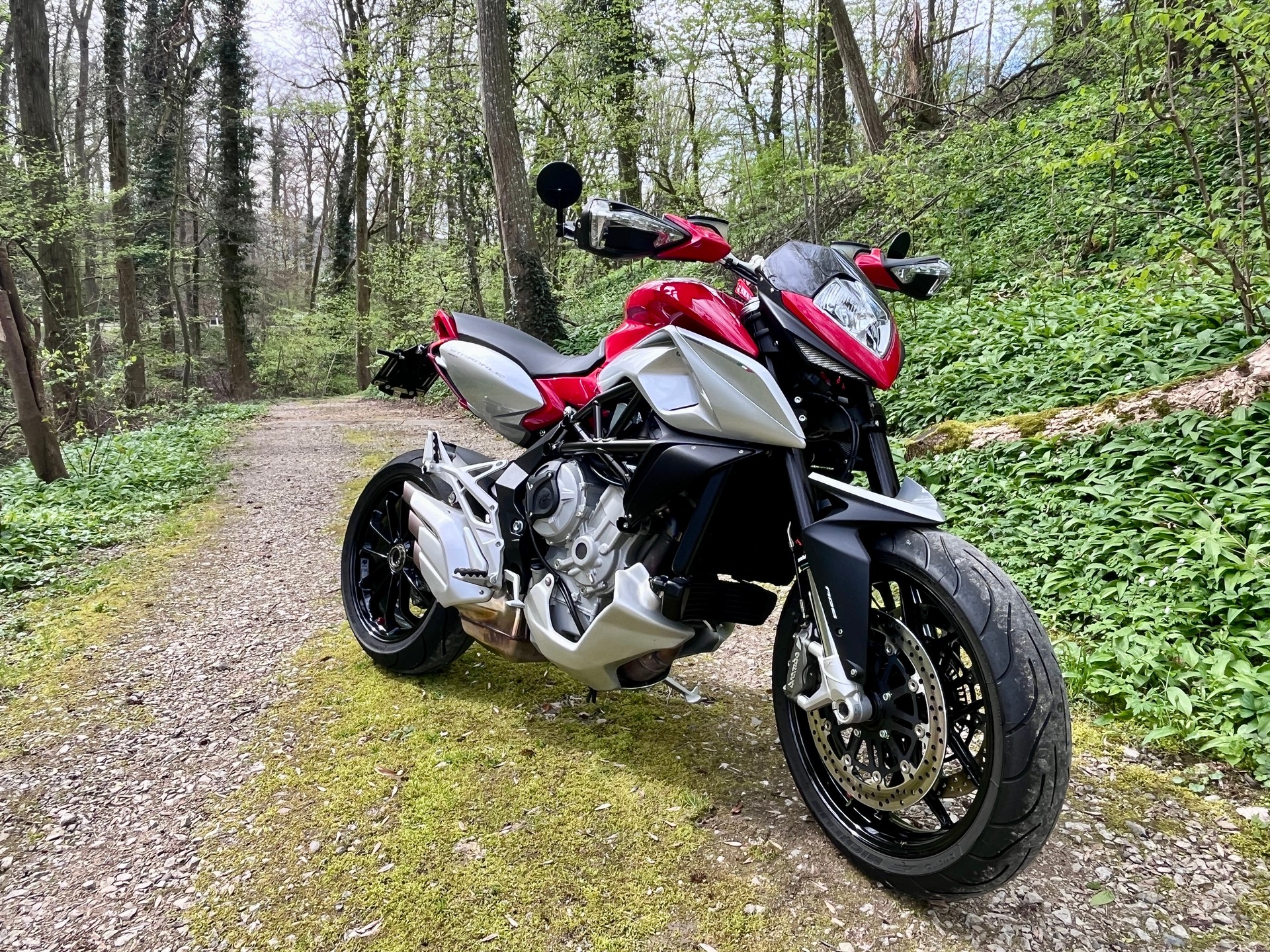 MV AGUSTA Stradale 800 EAS ABS-image-7