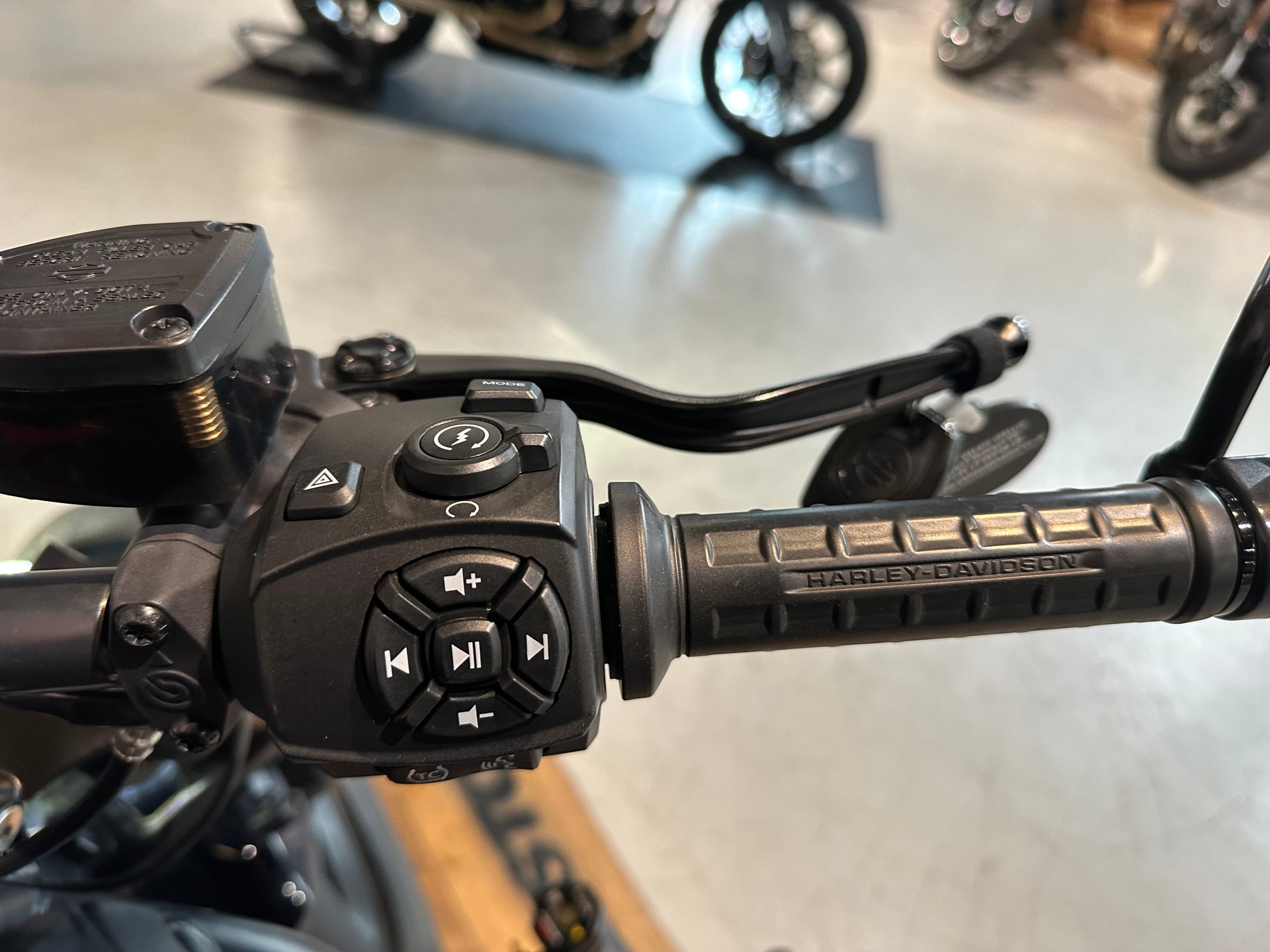 HARLEY-DAVIDSON RH 1250 Sportster S-image-9