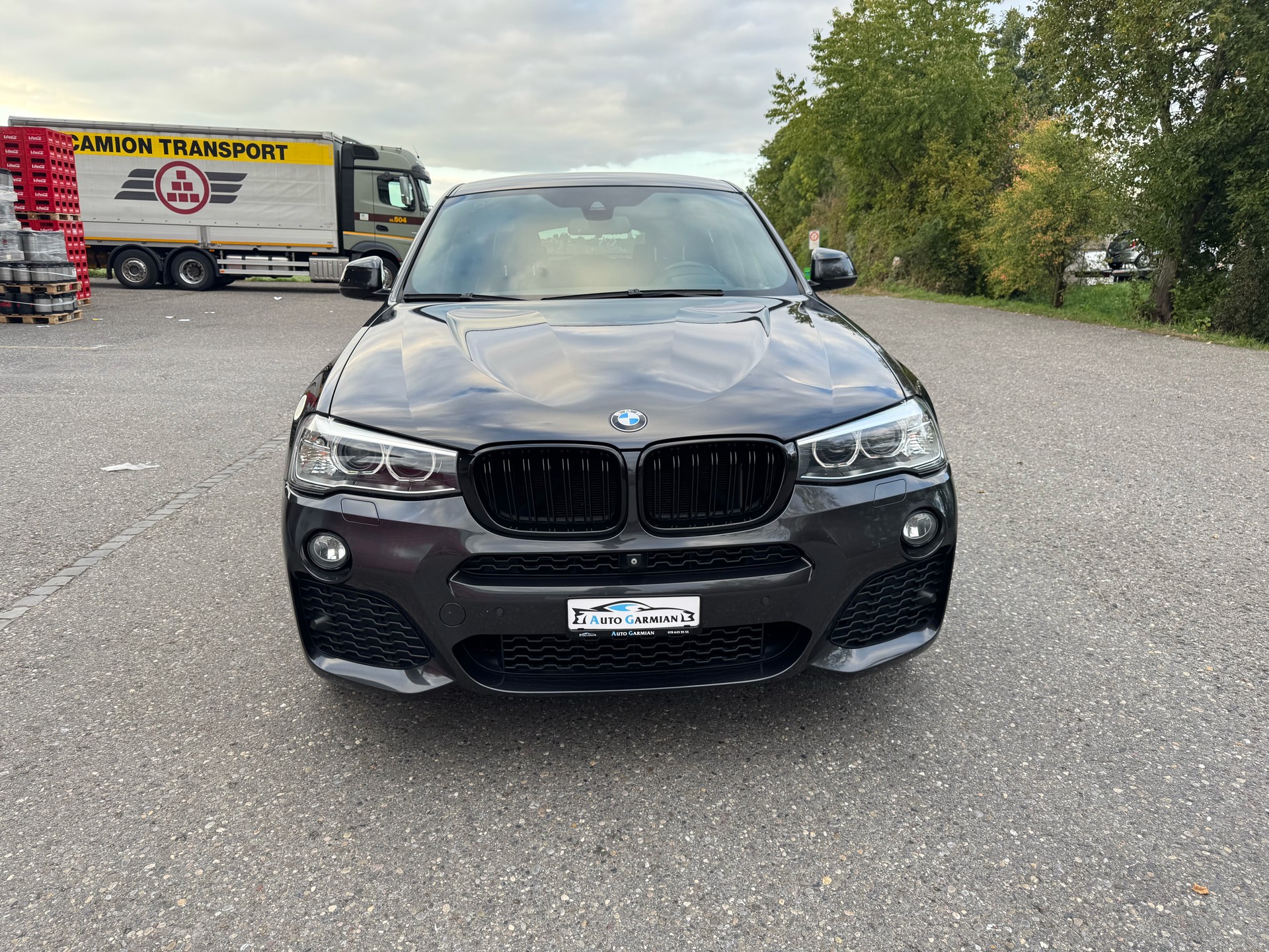 BMW X4 xDrive 30d M-Paket xLine Steptronic