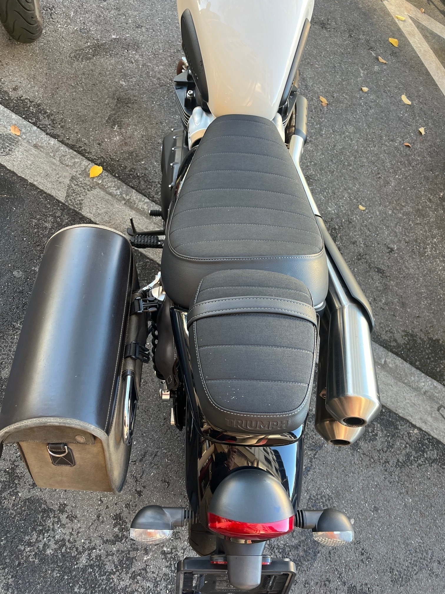 TRIUMPH Street Scrambler 900-image-3