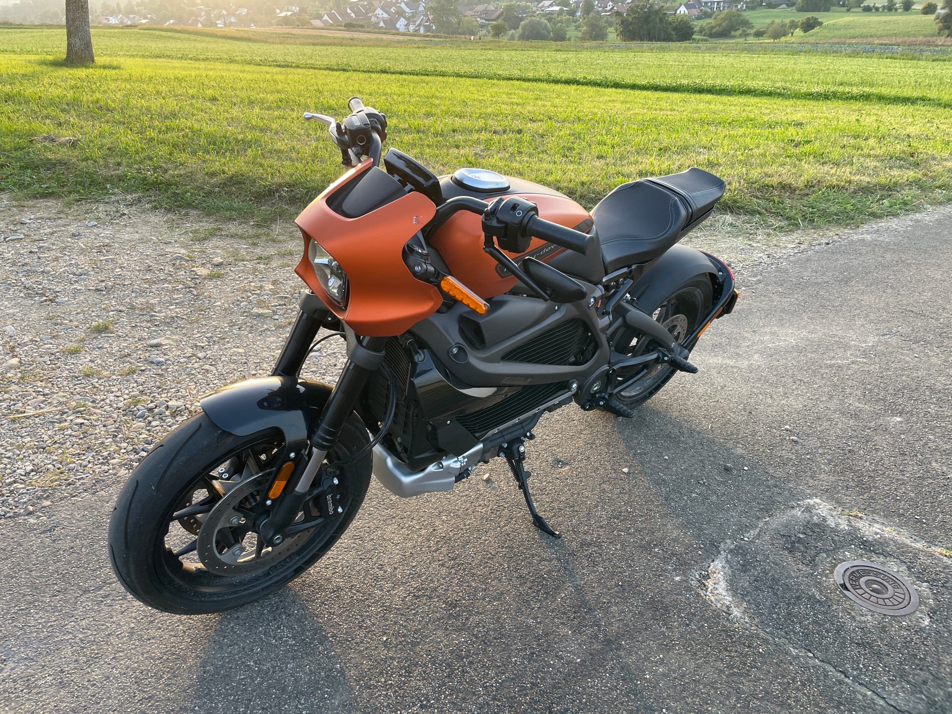 HARLEY-DAVIDSON Live Wire-image-2