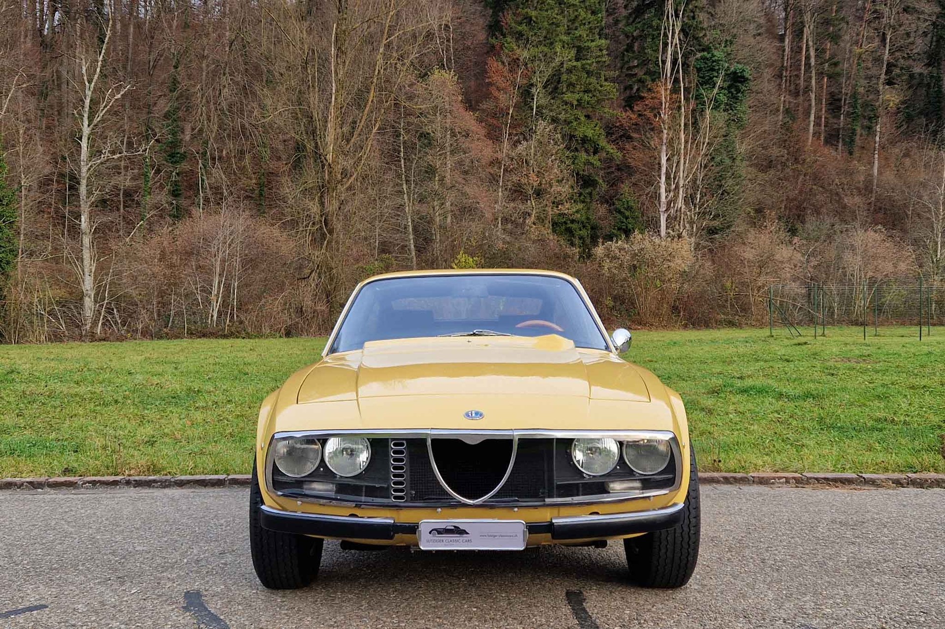 ALFA ROMEO Junior Zagato GT 1300-image-2