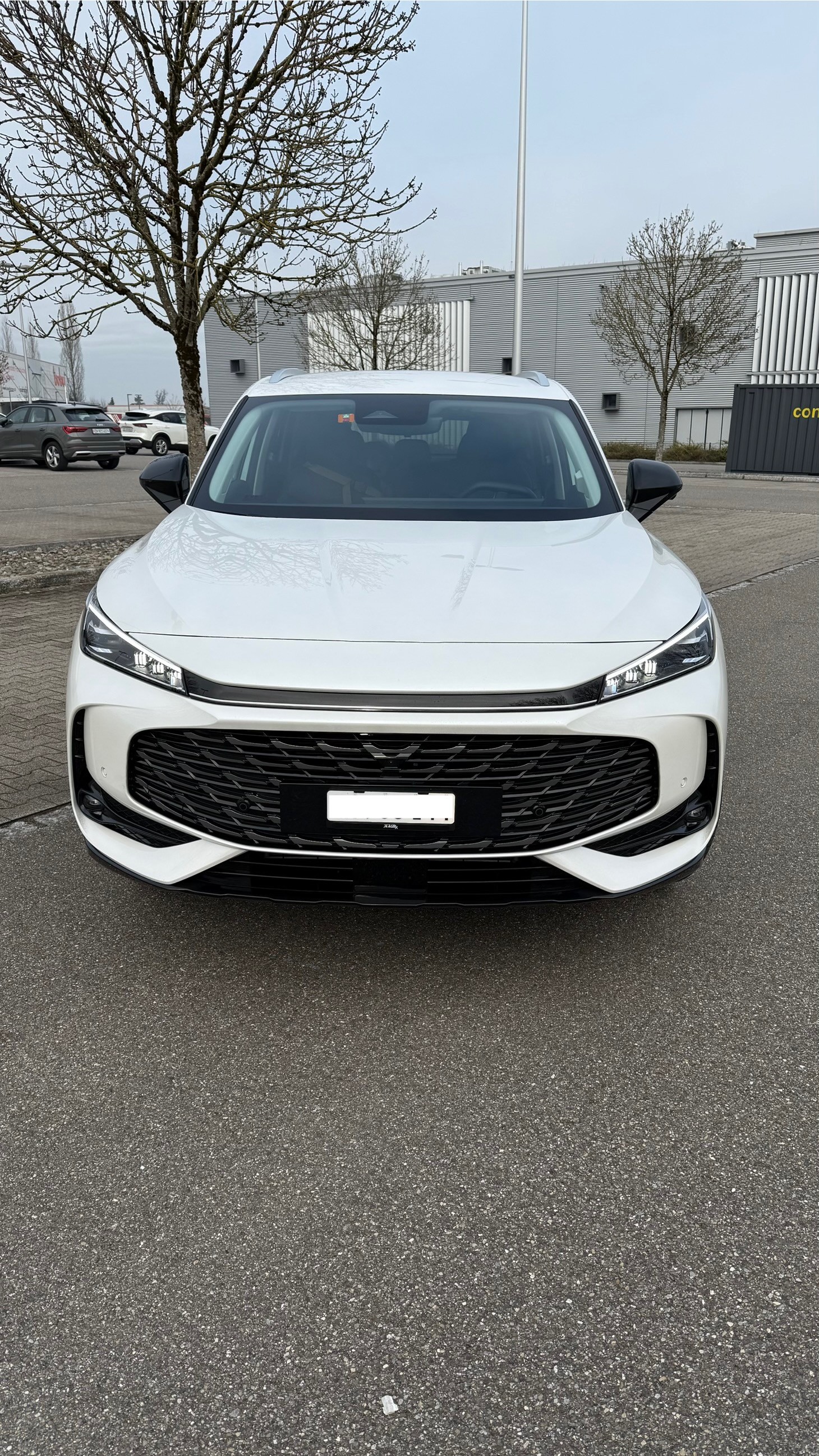 MG HS PHEV Luxury (inkl. allen Optionen)