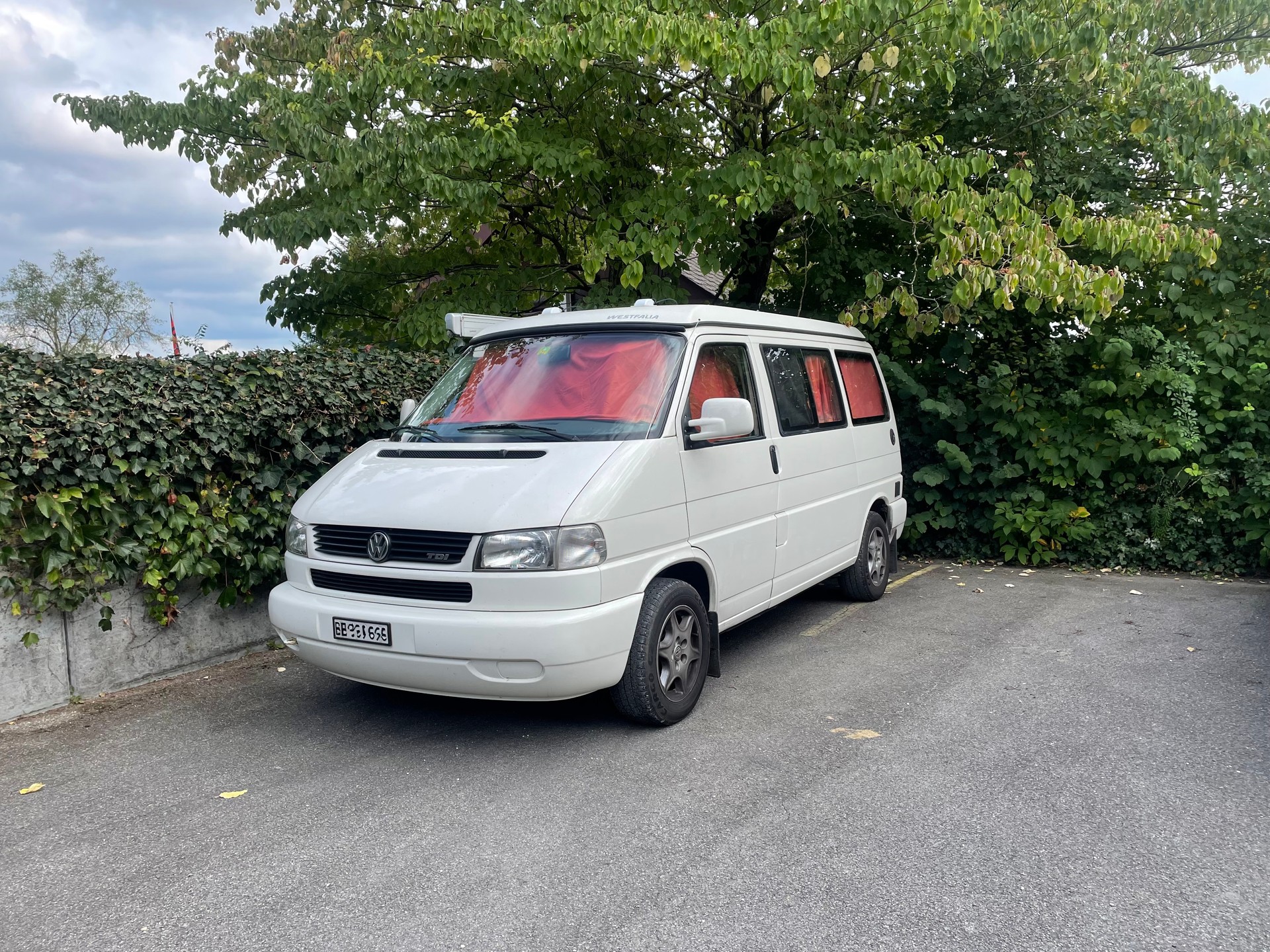 VW T4