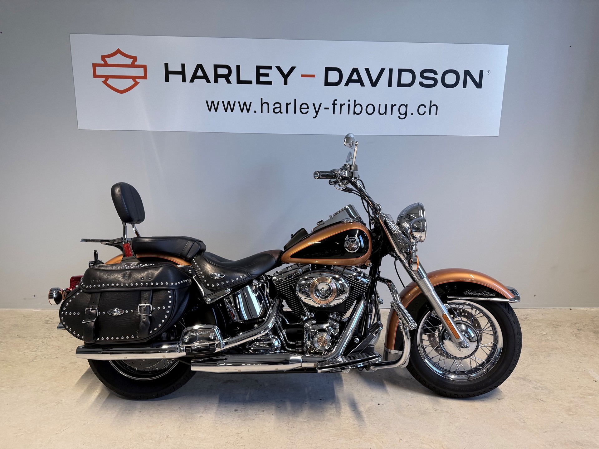 HARLEY-DAVIDSON FLSTCI Softail Classic Anniversary-image-0