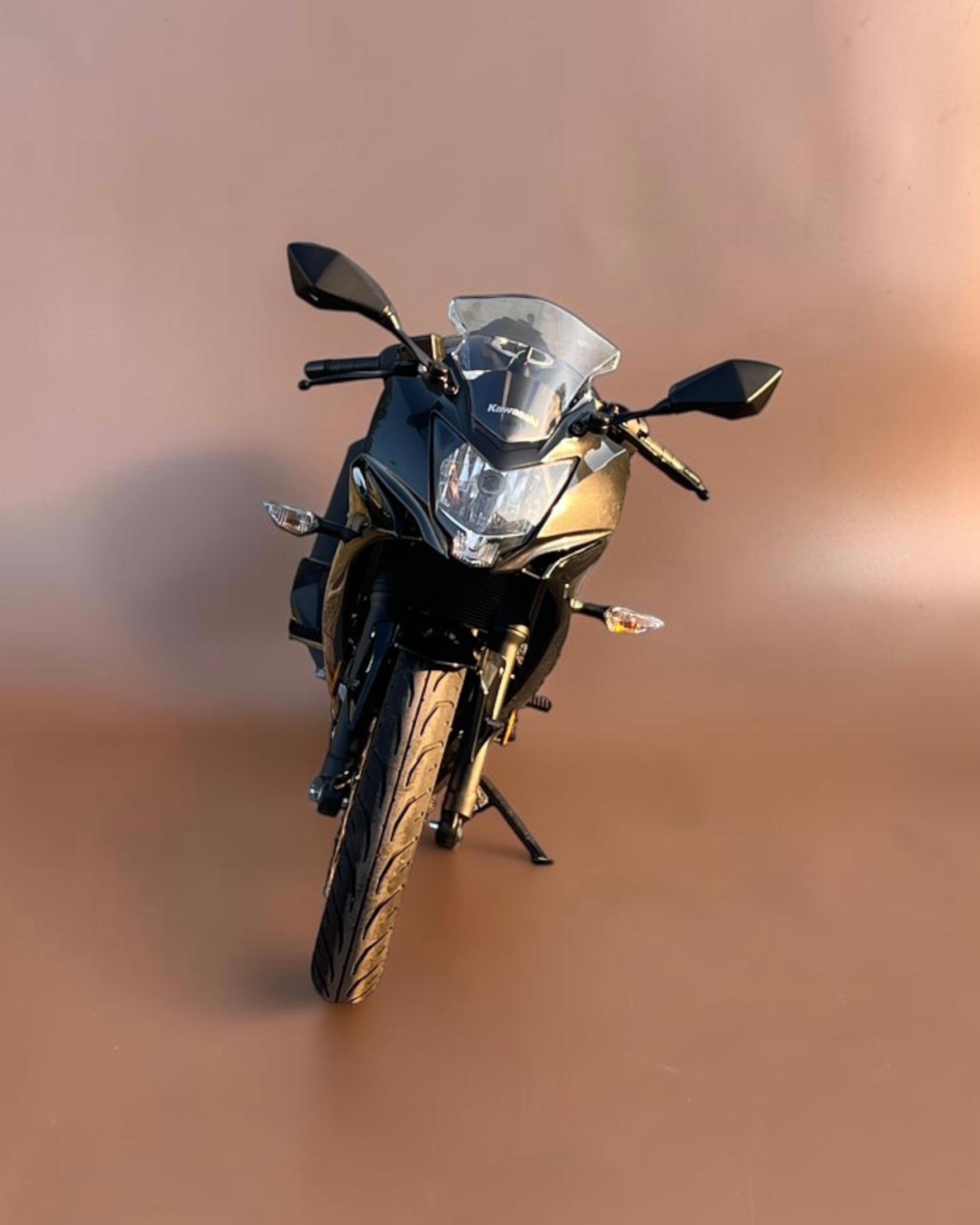 KAWASAKI Ninja 125-image-5