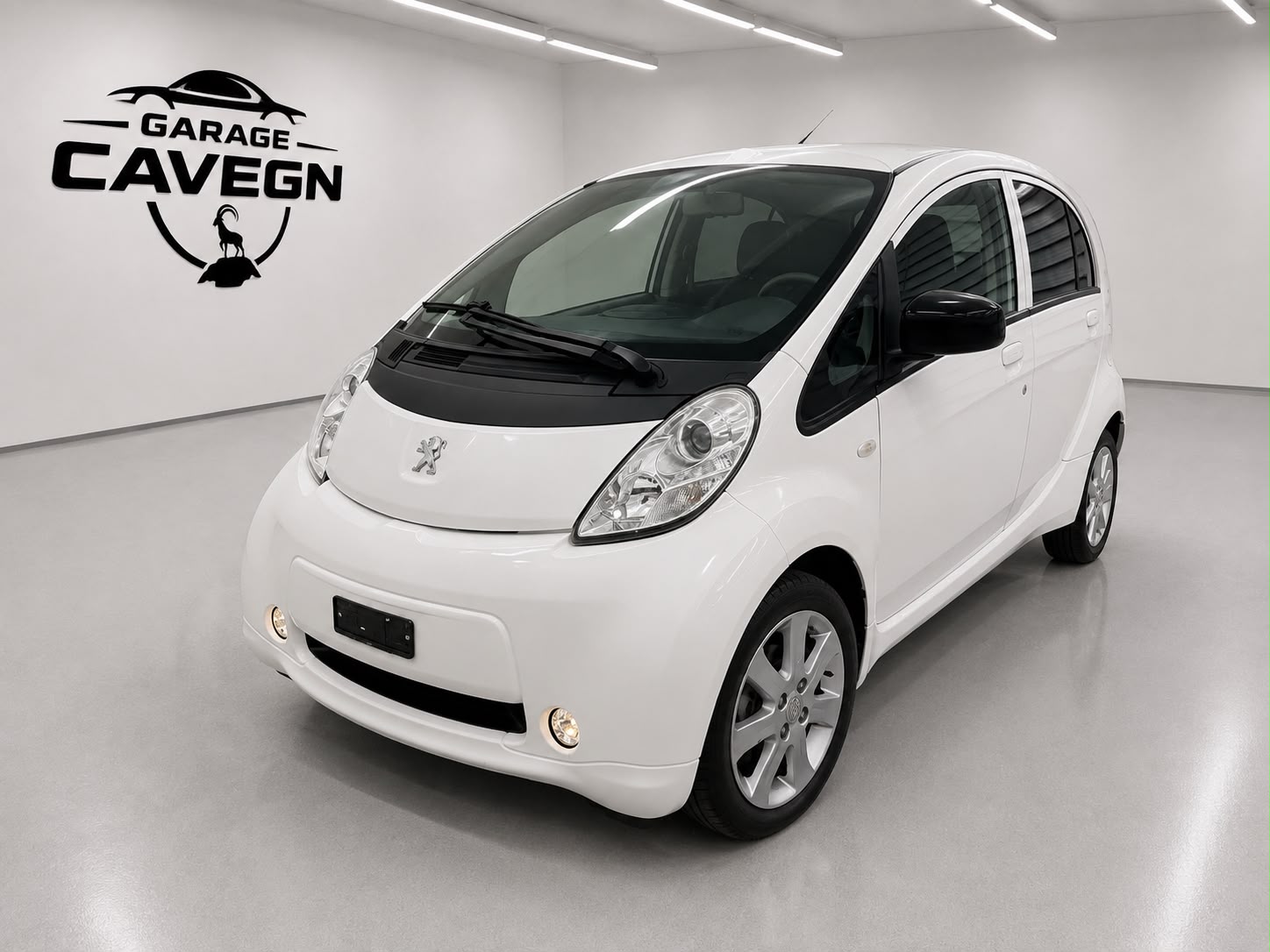PEUGEOT iON / FRISCH AB MFK
