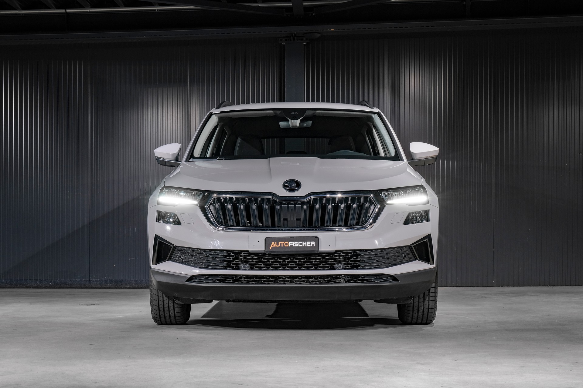 SKODA Karoq 1.5 TSI Fresh DSG-showroom-element-2