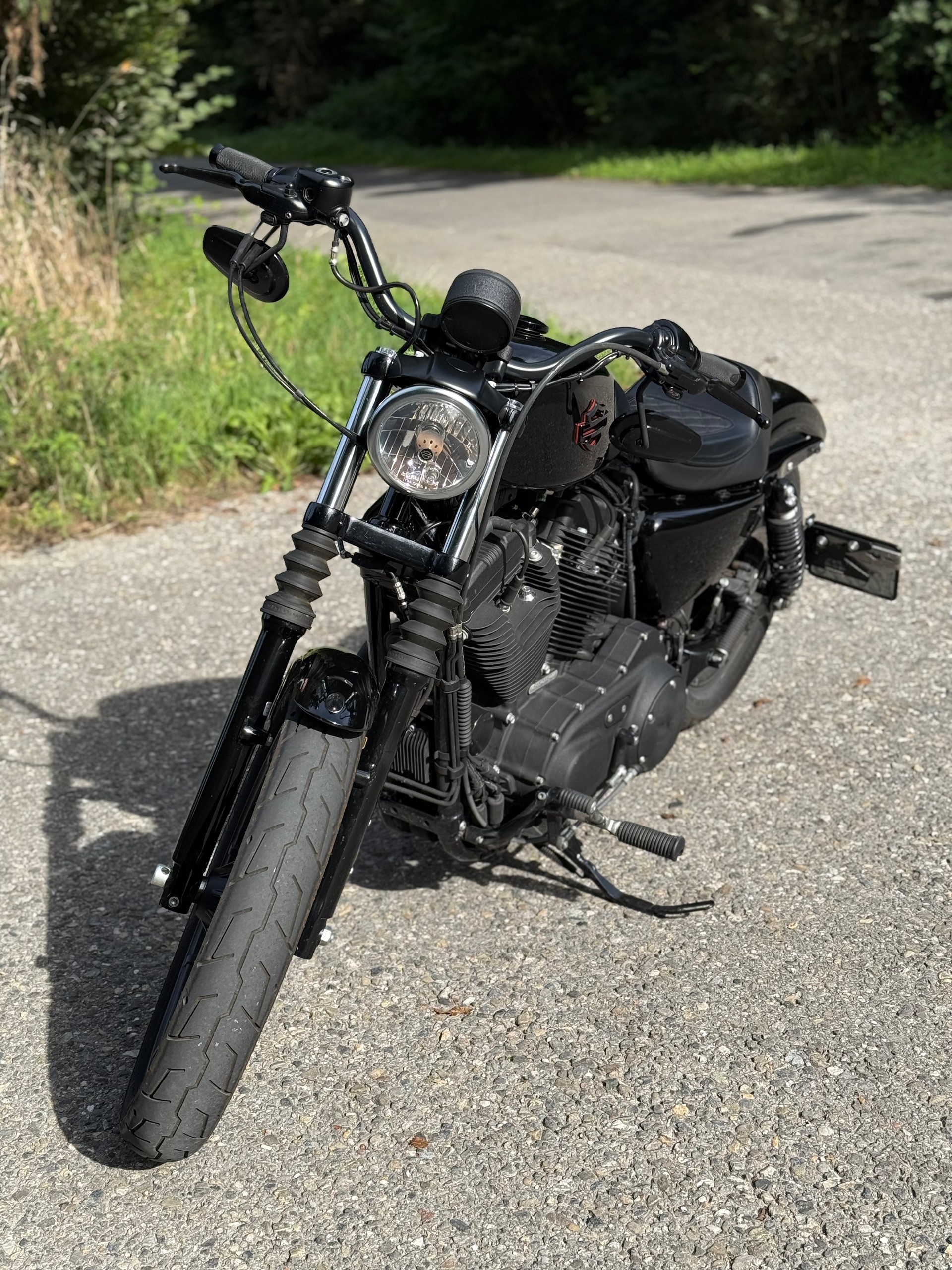 HARLEY-DAVIDSON XL 1200 NS Iron ABS-image-2