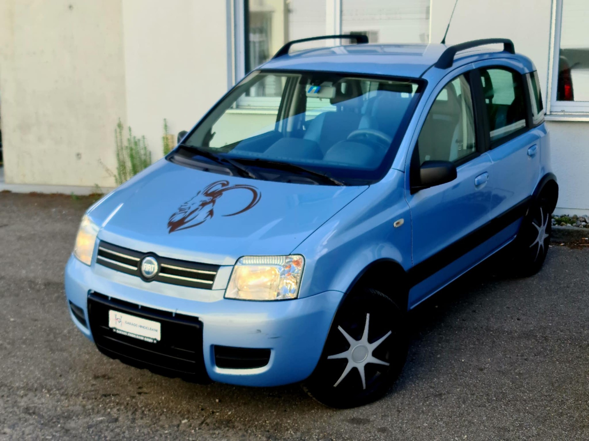 FIAT Panda 1.2 4x4 (Trekking)-image-1