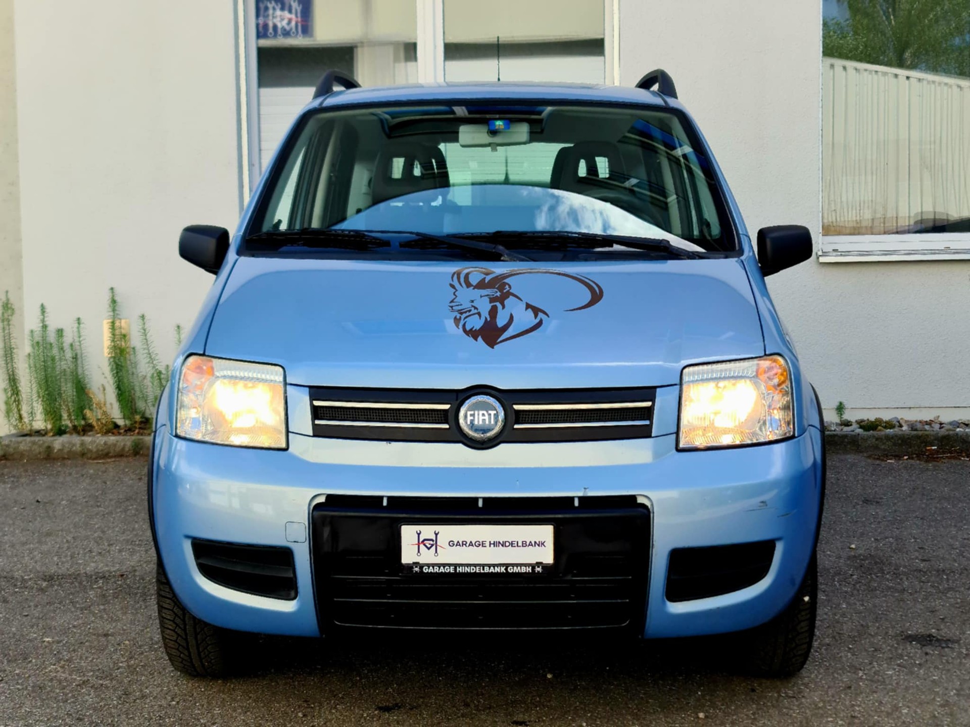 FIAT Panda 1.2 4x4 (Trekking)-image-2