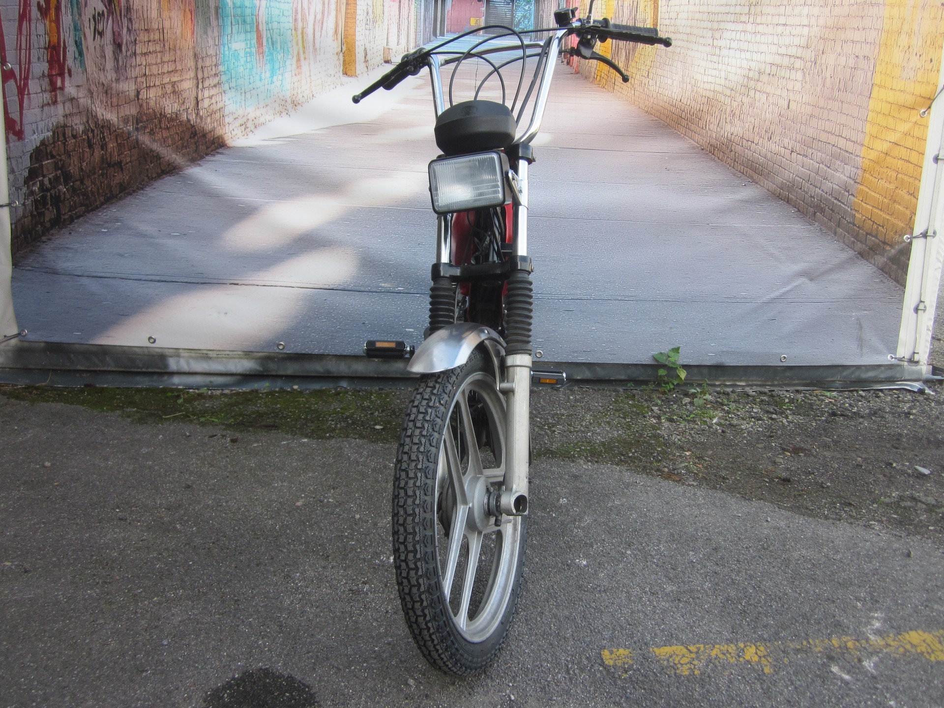 PONY GTX-image-2