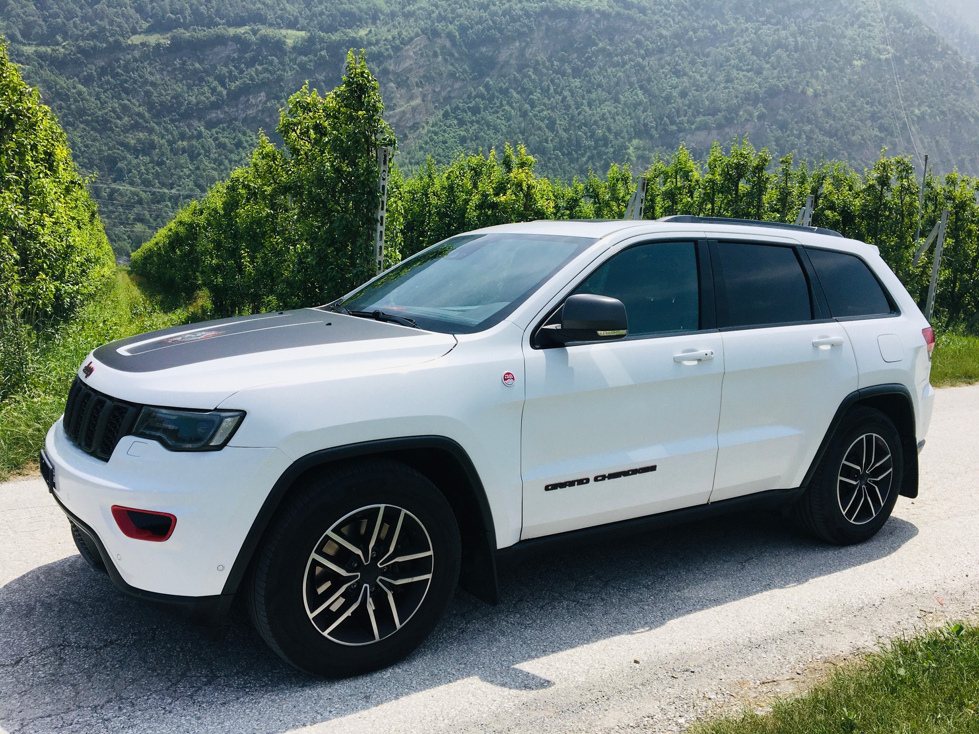 JEEP Grand Cherokee 3.0 CRD Trailhawk Automatic-image-5
