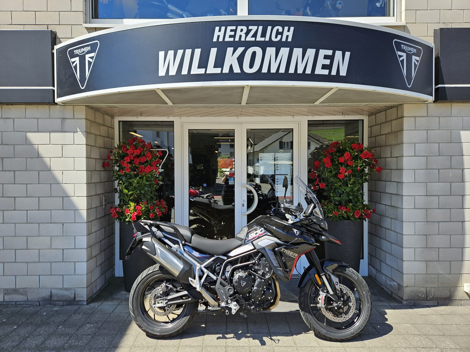 TRIUMPH Tiger 900 GT Pro (A2)-image-0
