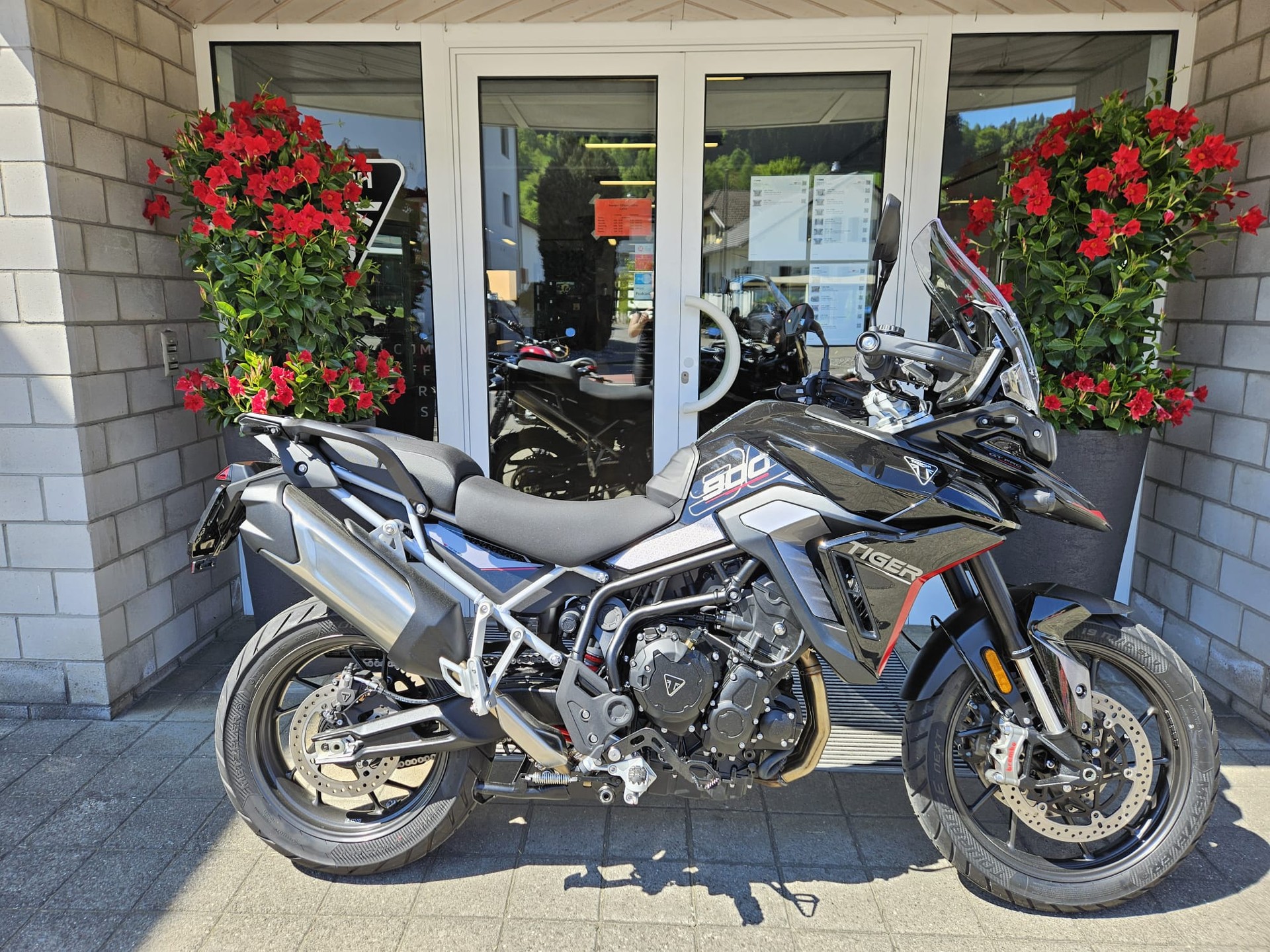 TRIUMPH Tiger 900 GT Pro (A2)-image-1