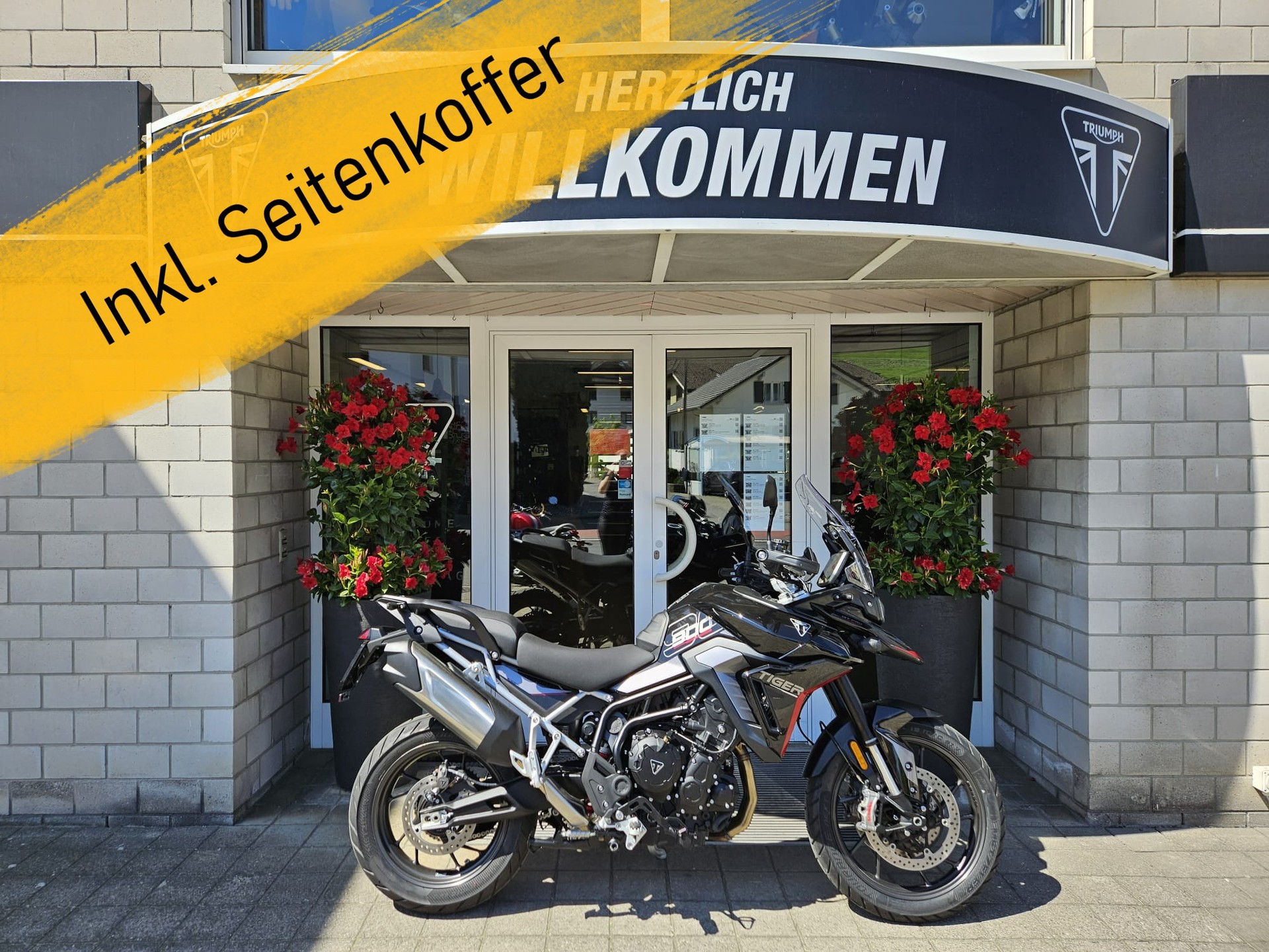 TRIUMPH Tiger 900 GT Pro (A2)-image-0