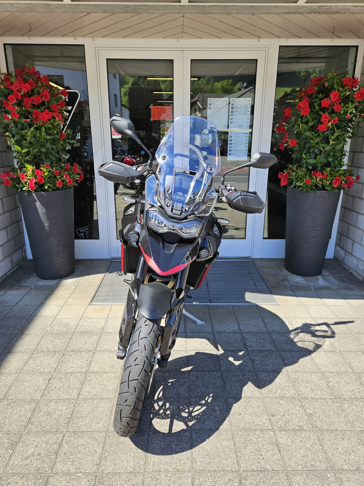 TRIUMPH Tiger 900 GT Pro (A2)-image-4