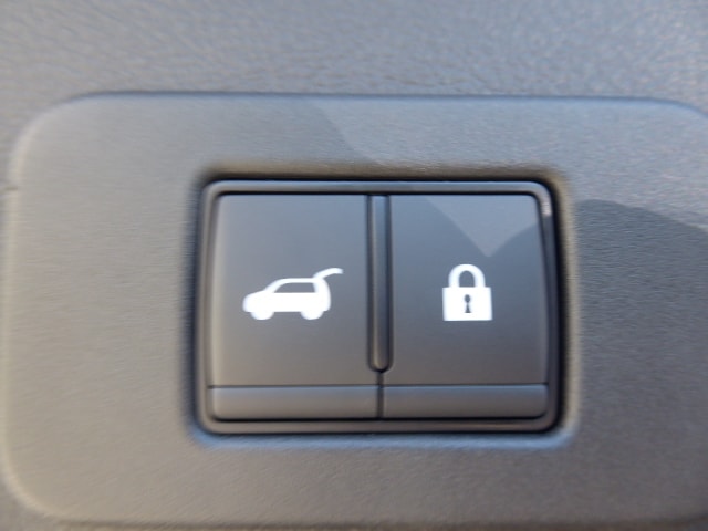 NISSAN Leaf 75 kWh Evolve-image-13