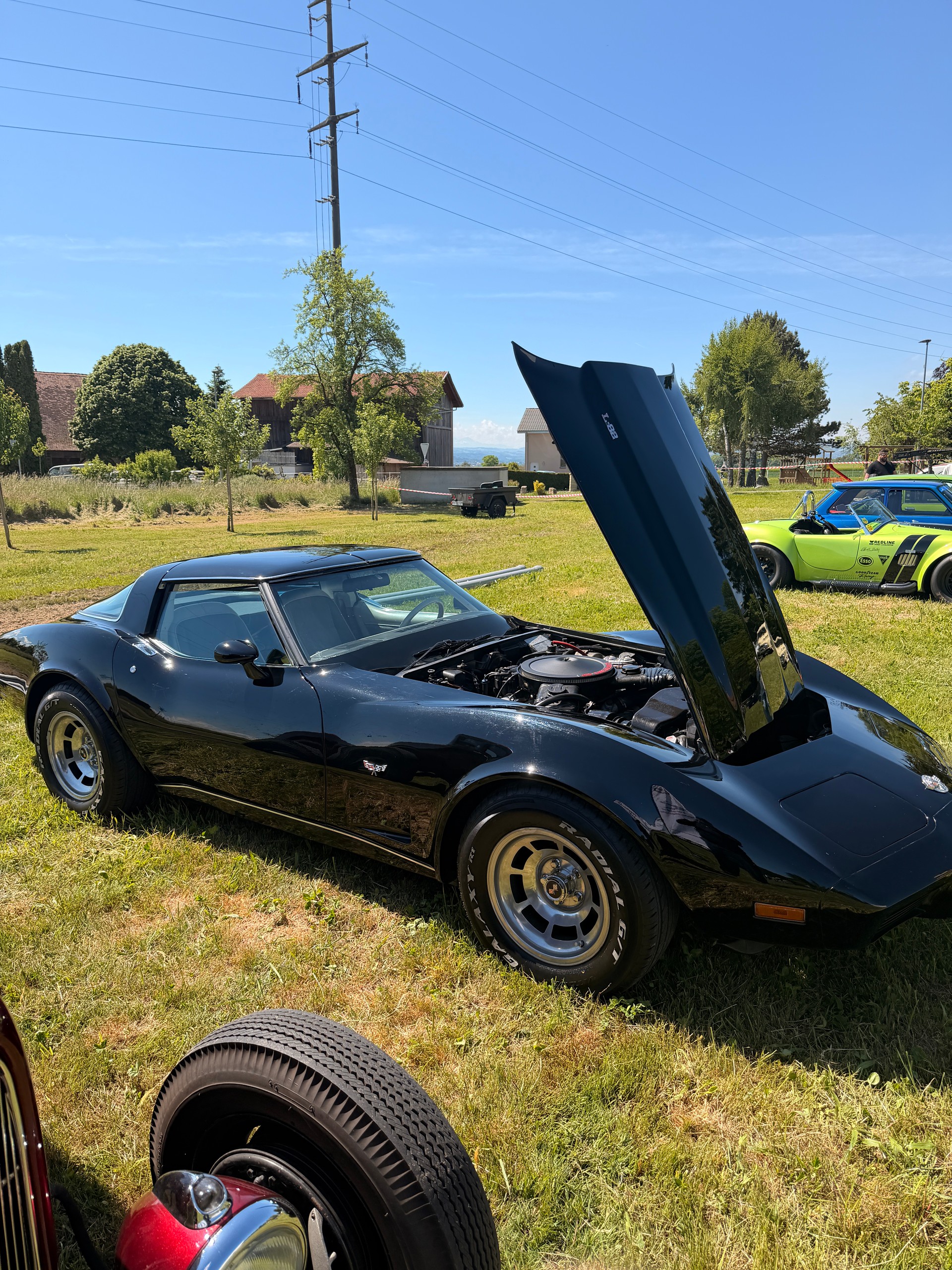CHEVROLET C3 TARGA L-82 / 1978 / 5.7l / 25eme Anniversaire-image-2