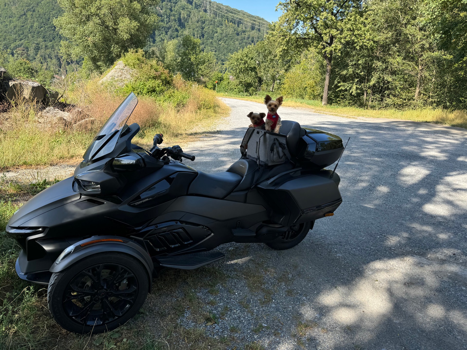 CAN-AM Spyder RT-LTD Dark Edition SE6-image-5