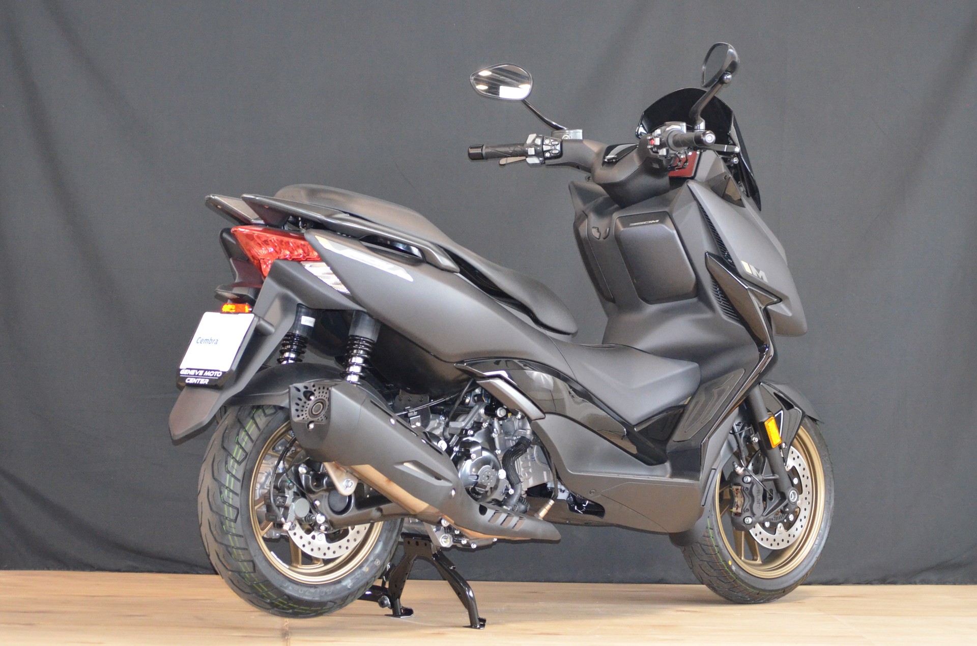 ZONTES 350 M-image-6