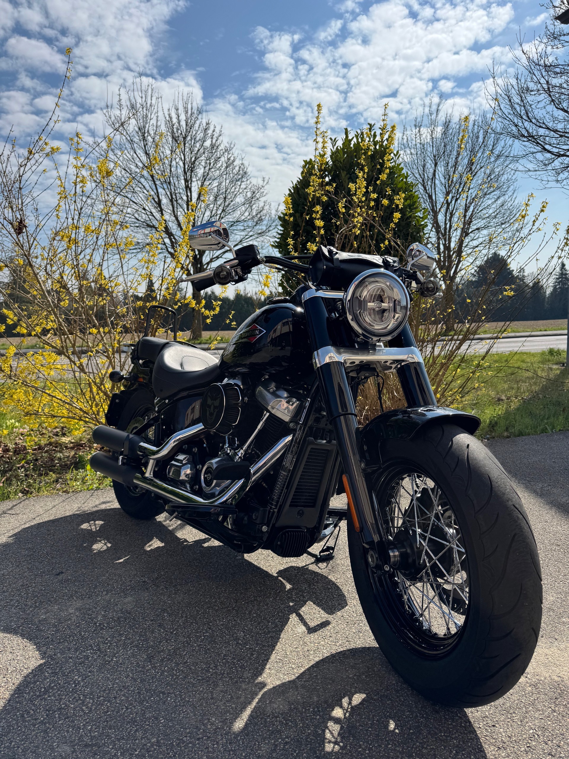 HARLEY-DAVIDSON FLSL Softail Slim 107 ABS-image-1