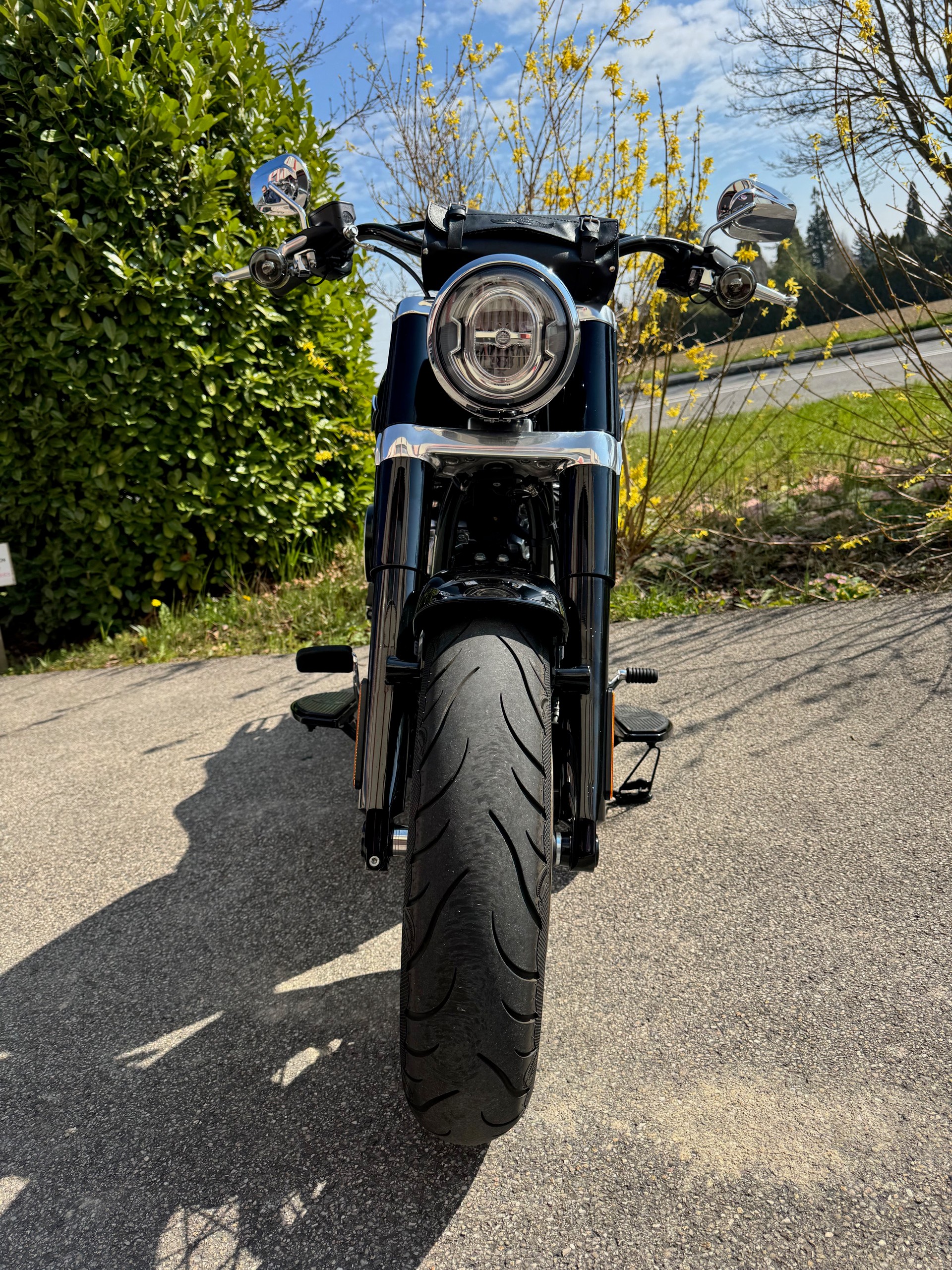 HARLEY-DAVIDSON FLSL Softail Slim 107 ABS-image-2