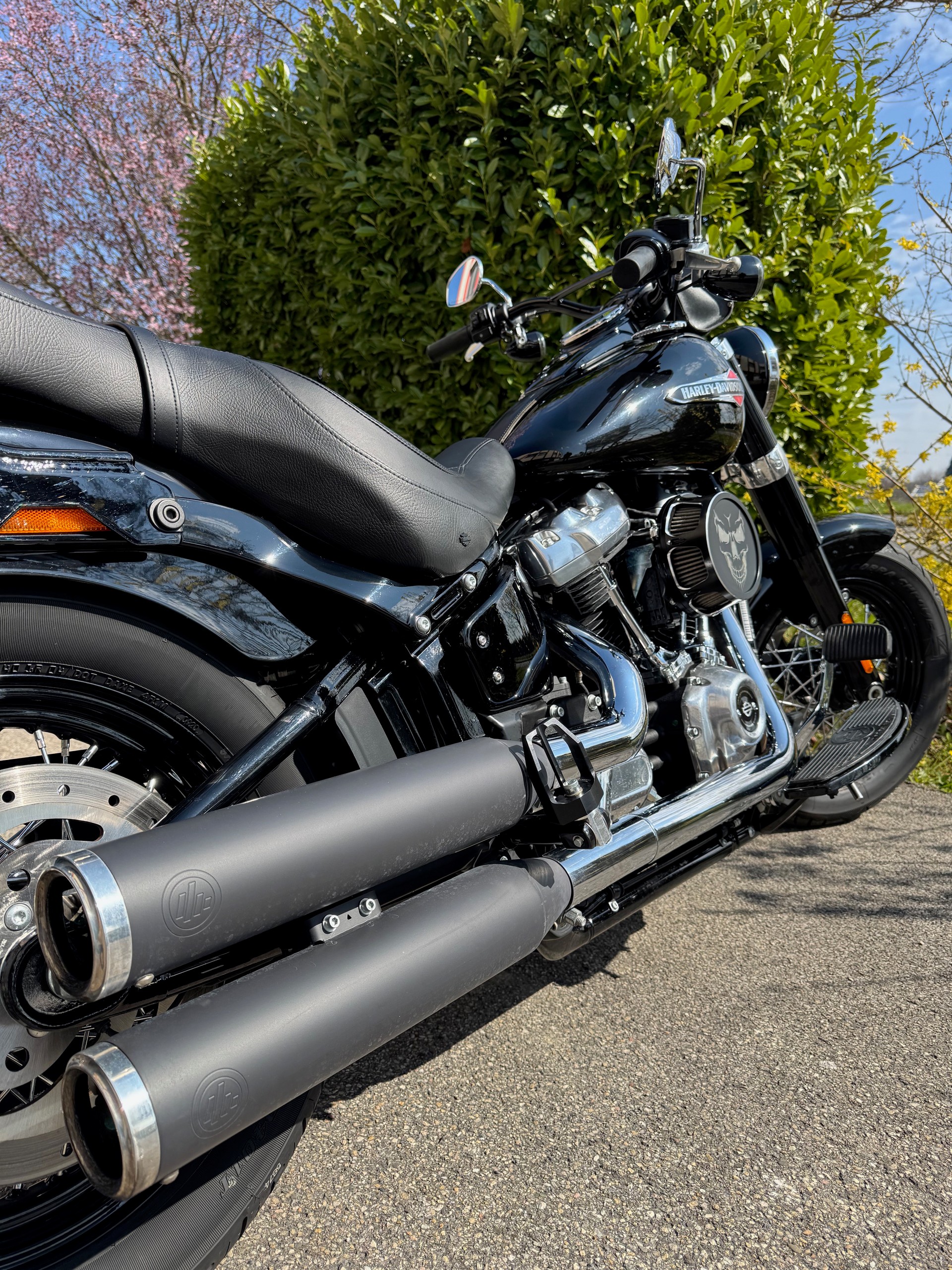 HARLEY-DAVIDSON FLSL Softail Slim 107 ABS-image-5