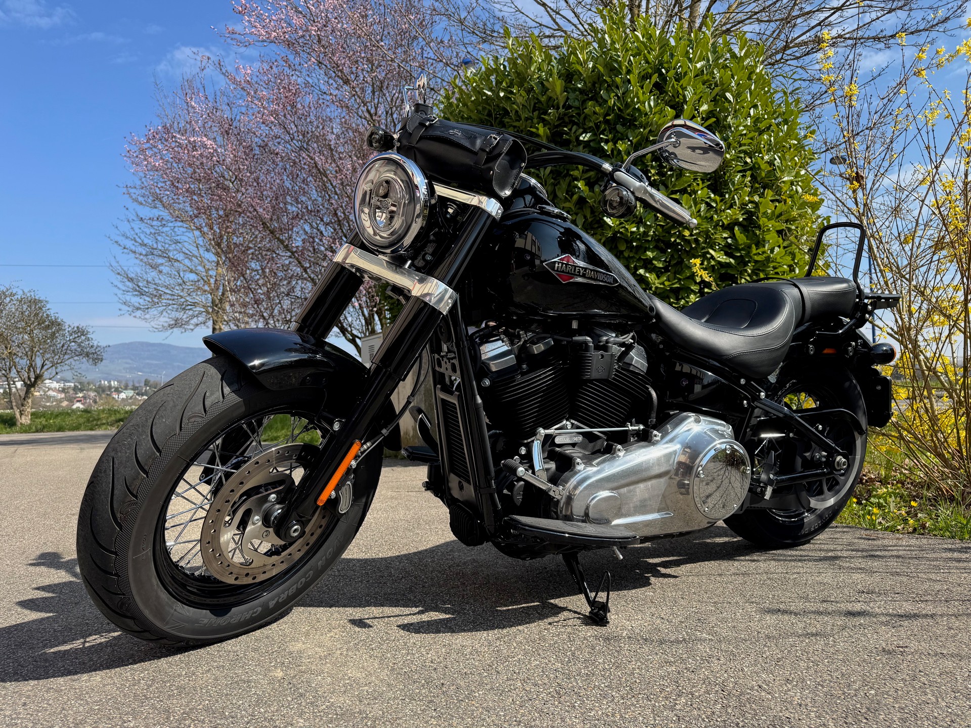 HARLEY-DAVIDSON FLSL Softail Slim 107 ABS-image-3