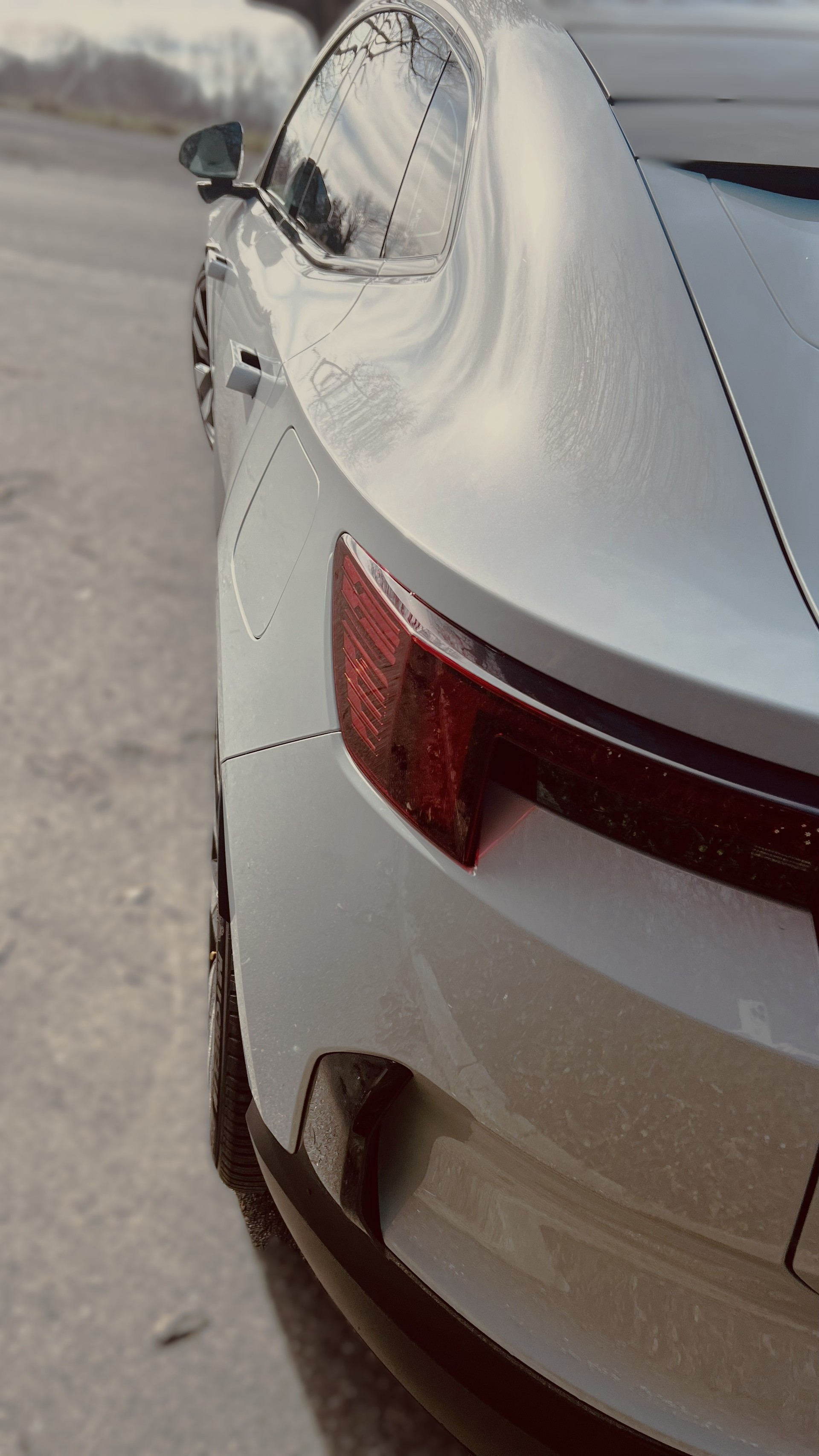 POLESTAR Long Range Dual Motor-image-7