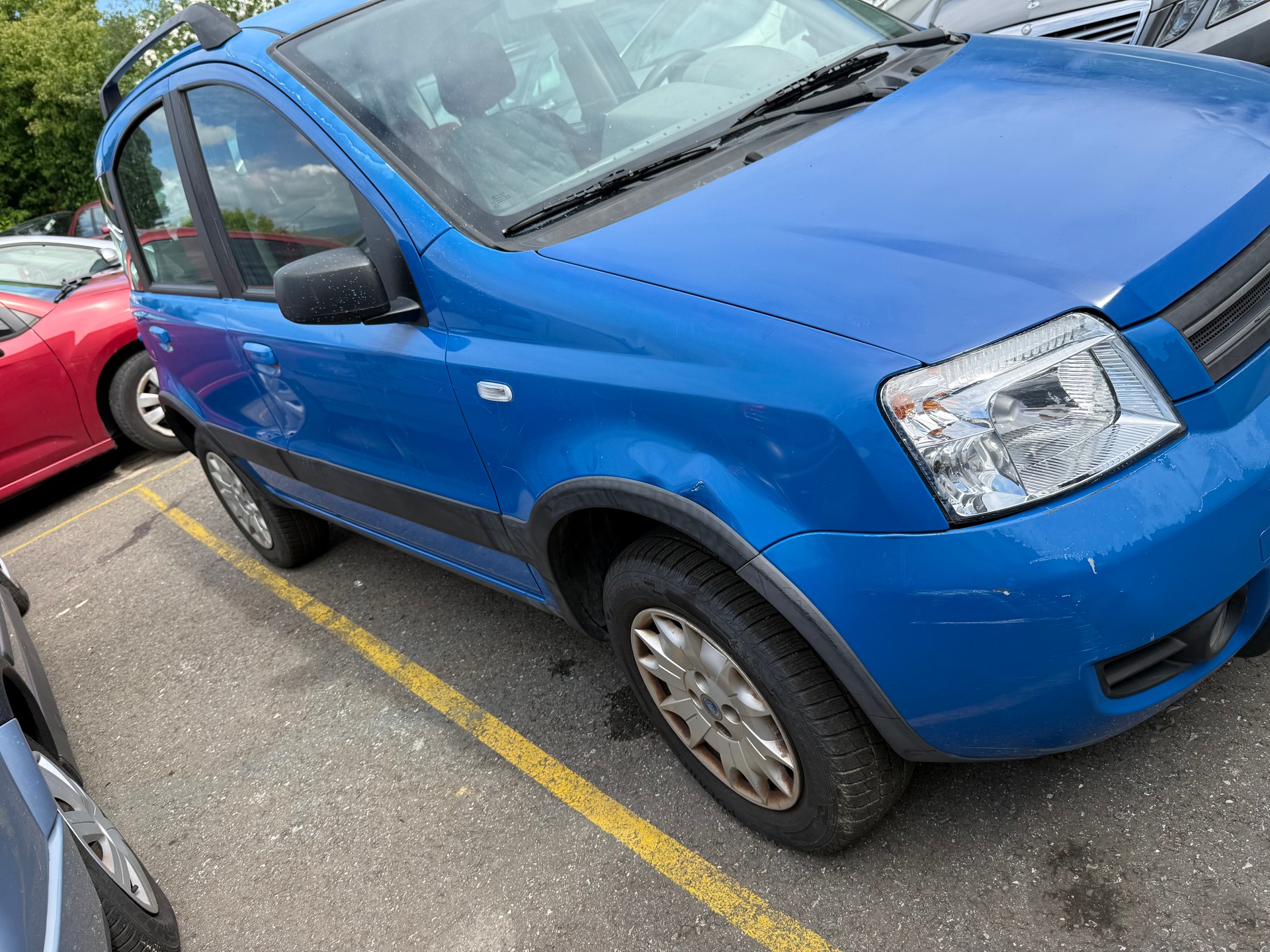 FIAT Panda 1.2 4x4 (Trekking)-image-5