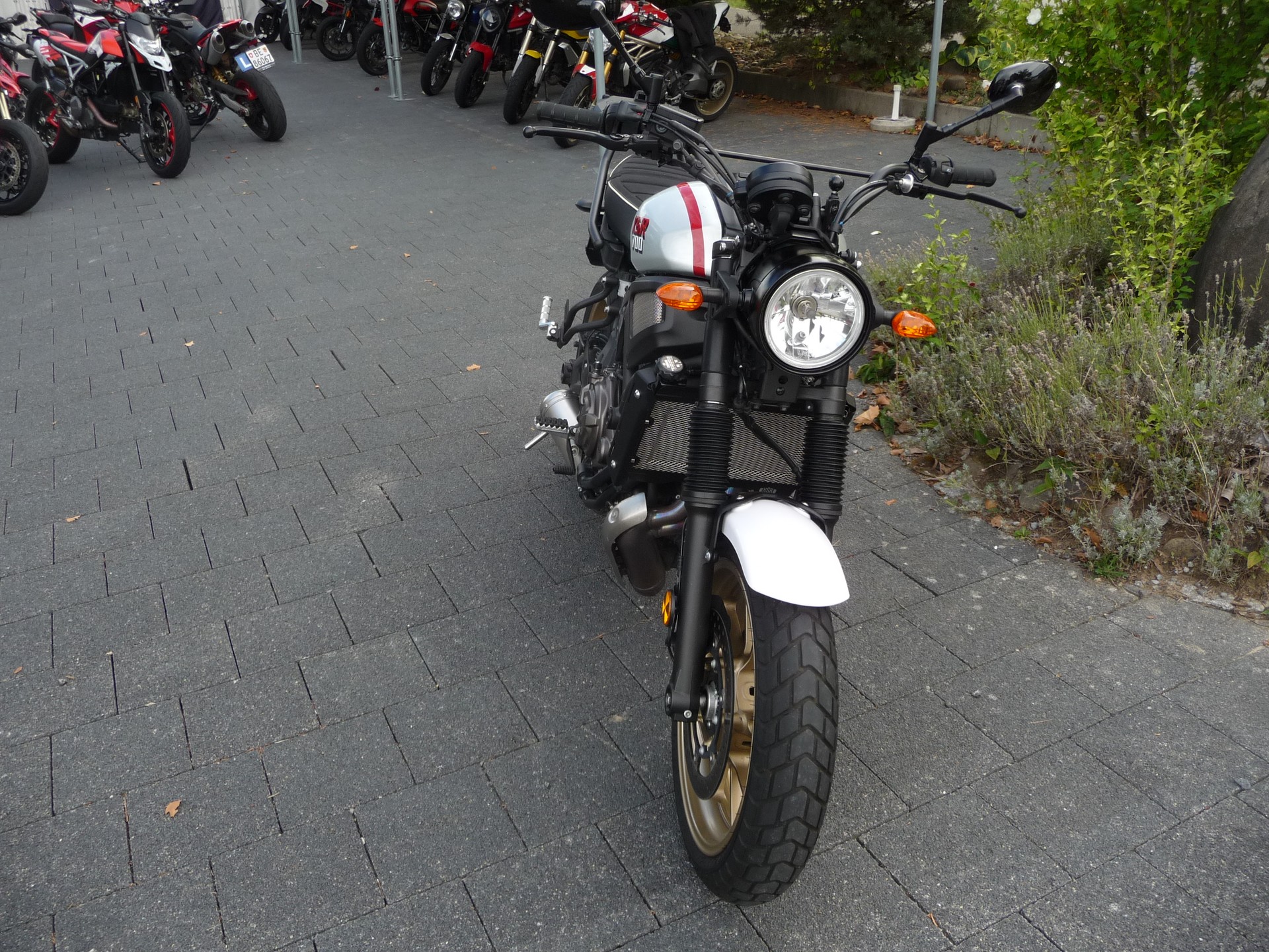YAMAHA XSR 700 XTribute-image-2