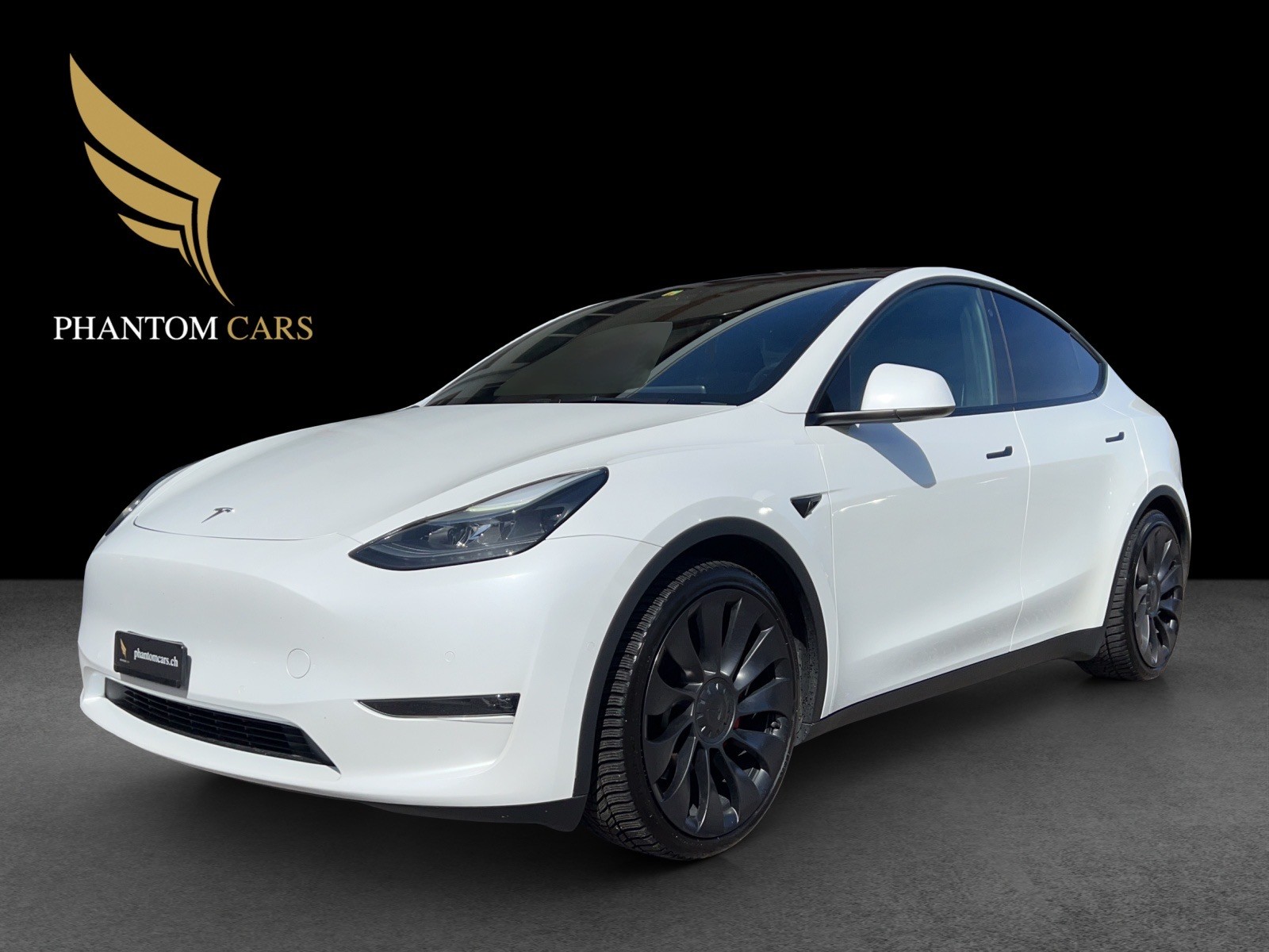 TESLA Model Y Performance-showroom-element-3