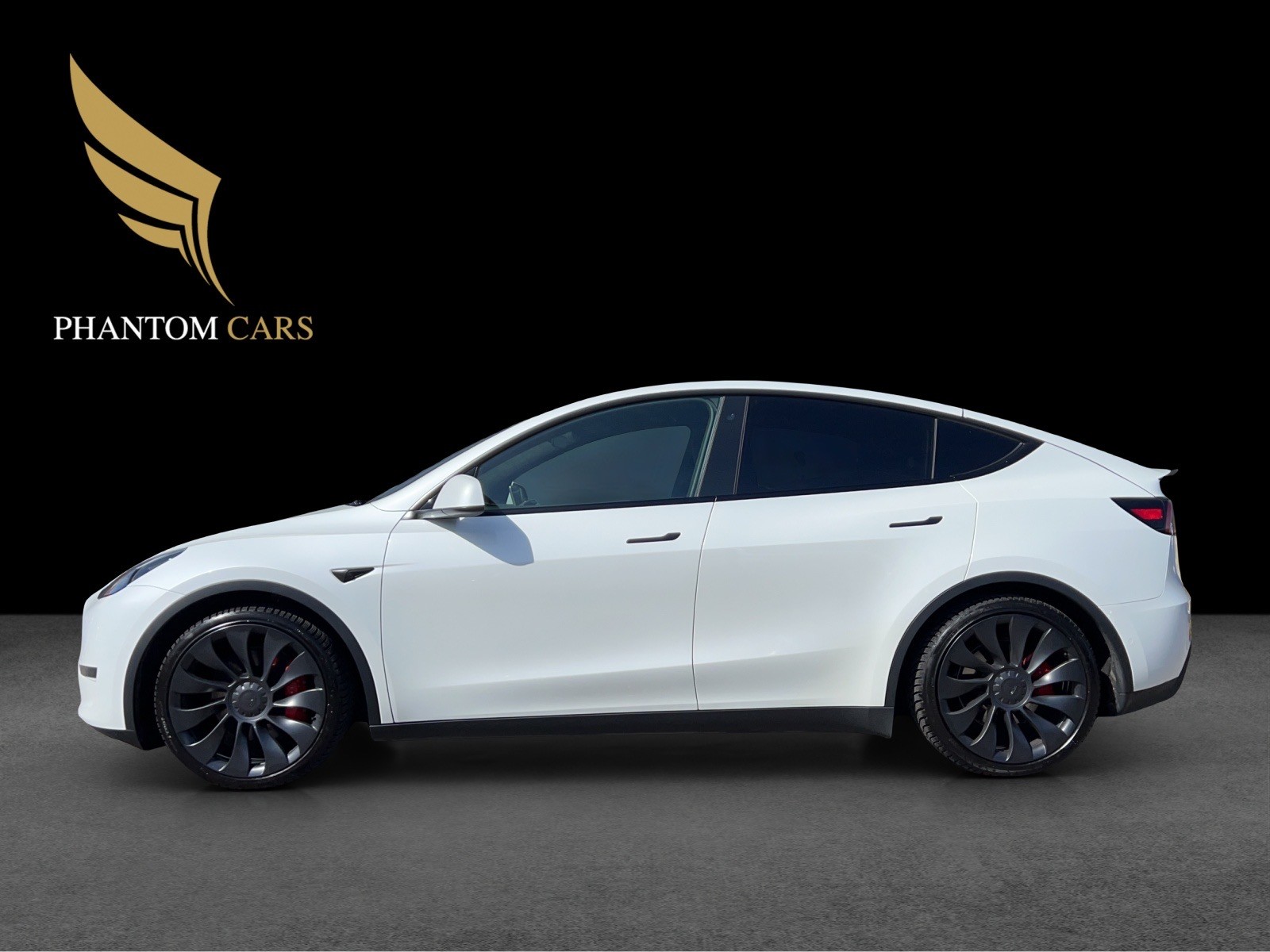 TESLA Model Y Performance-image-4