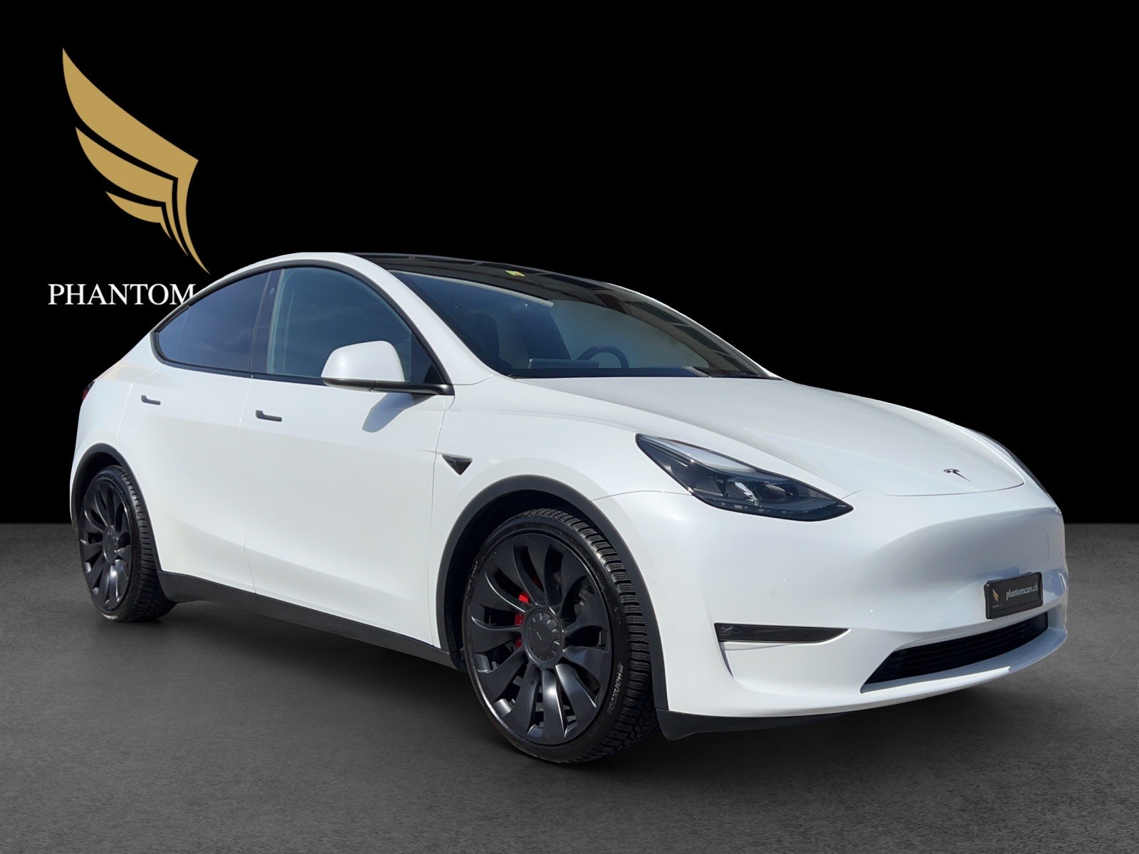 TESLA Model Y Performance-showroom-element-1