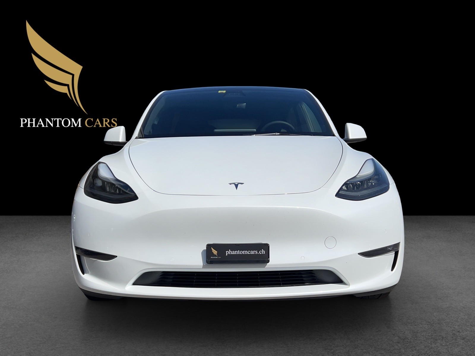 TESLA Model Y Performance-showroom-element-2