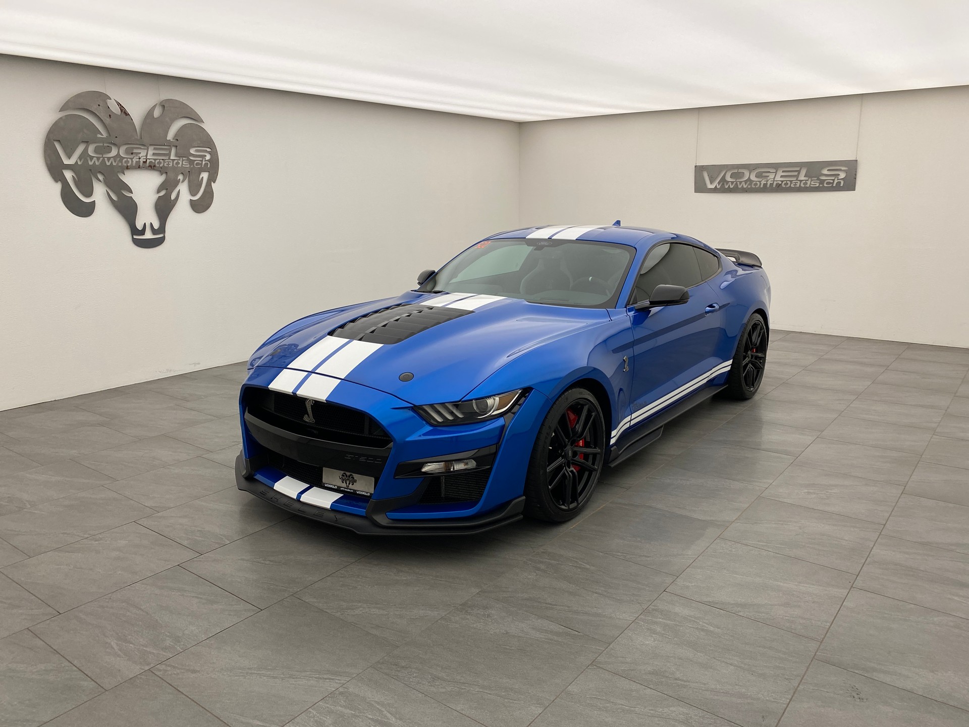 FORD Mustang GT500 Shelby