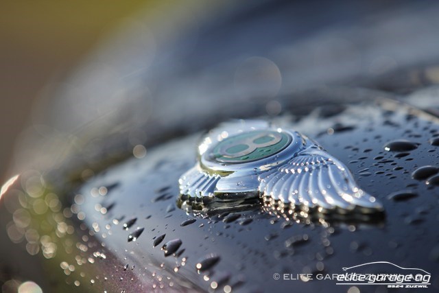 BENTLEY Arnage Green Label-image-4