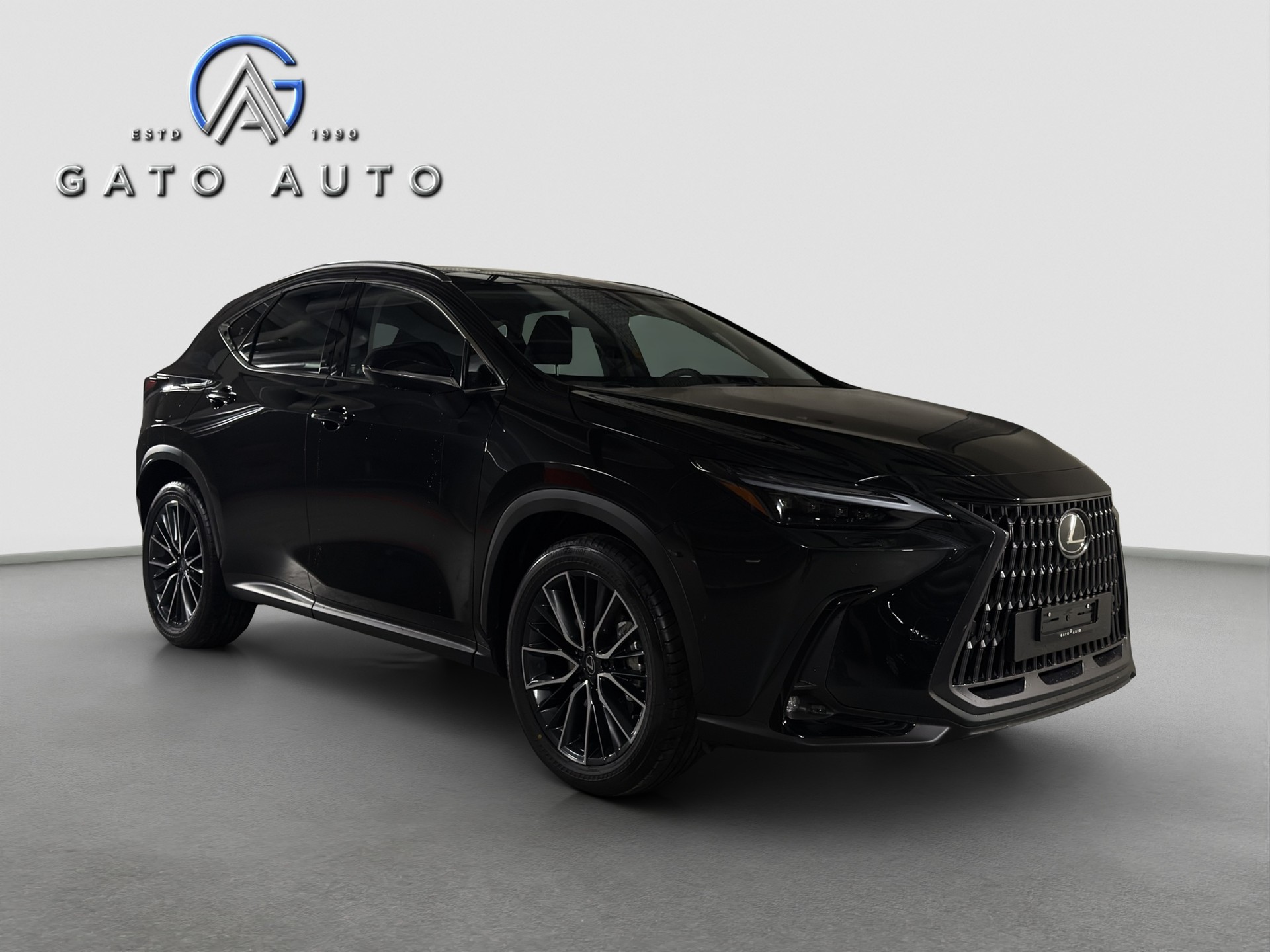 LEXUS NX 450h+ E-FOUR Excellence