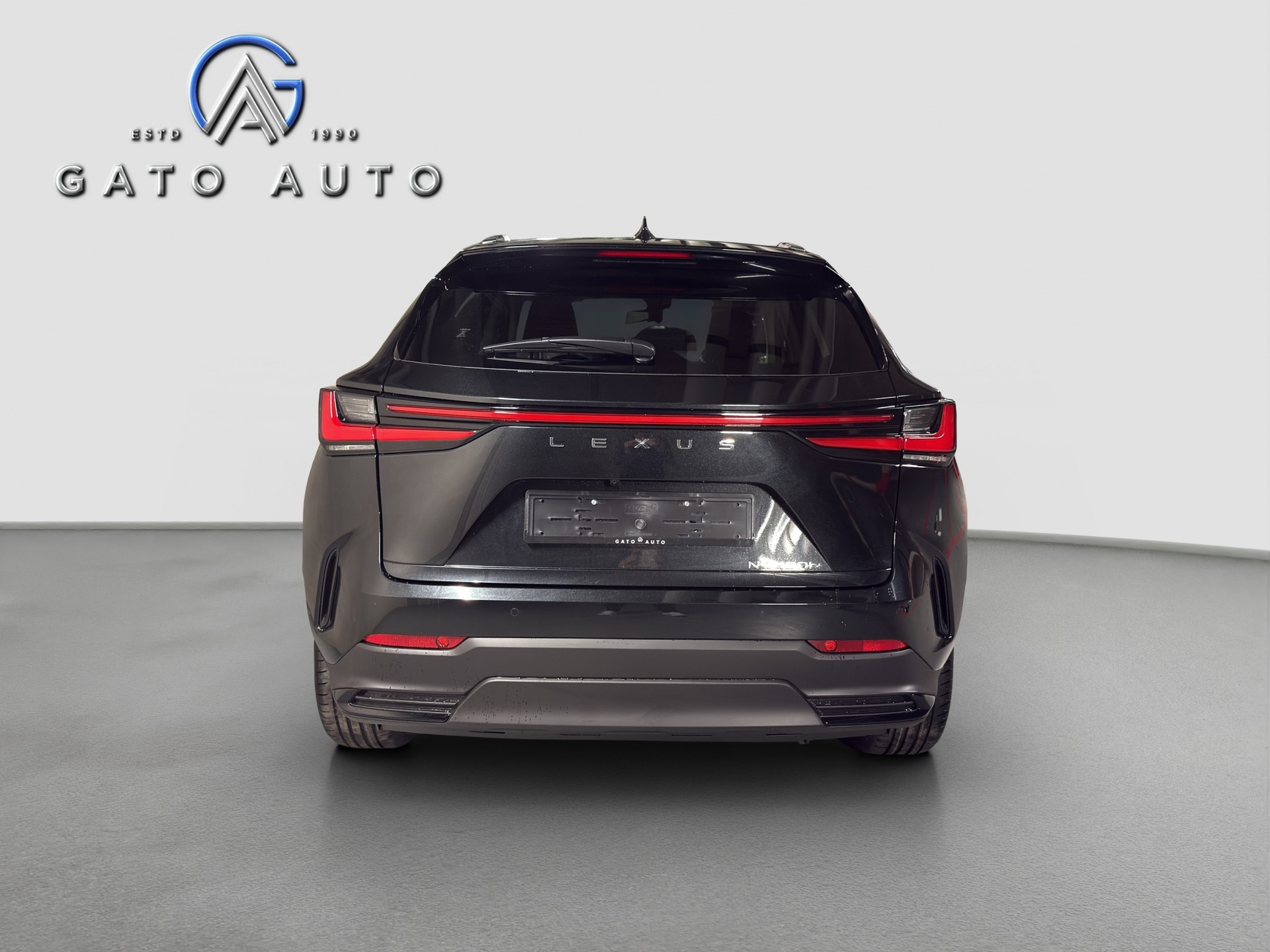 LEXUS NX 450h+ E-FOUR Excellence-image-4