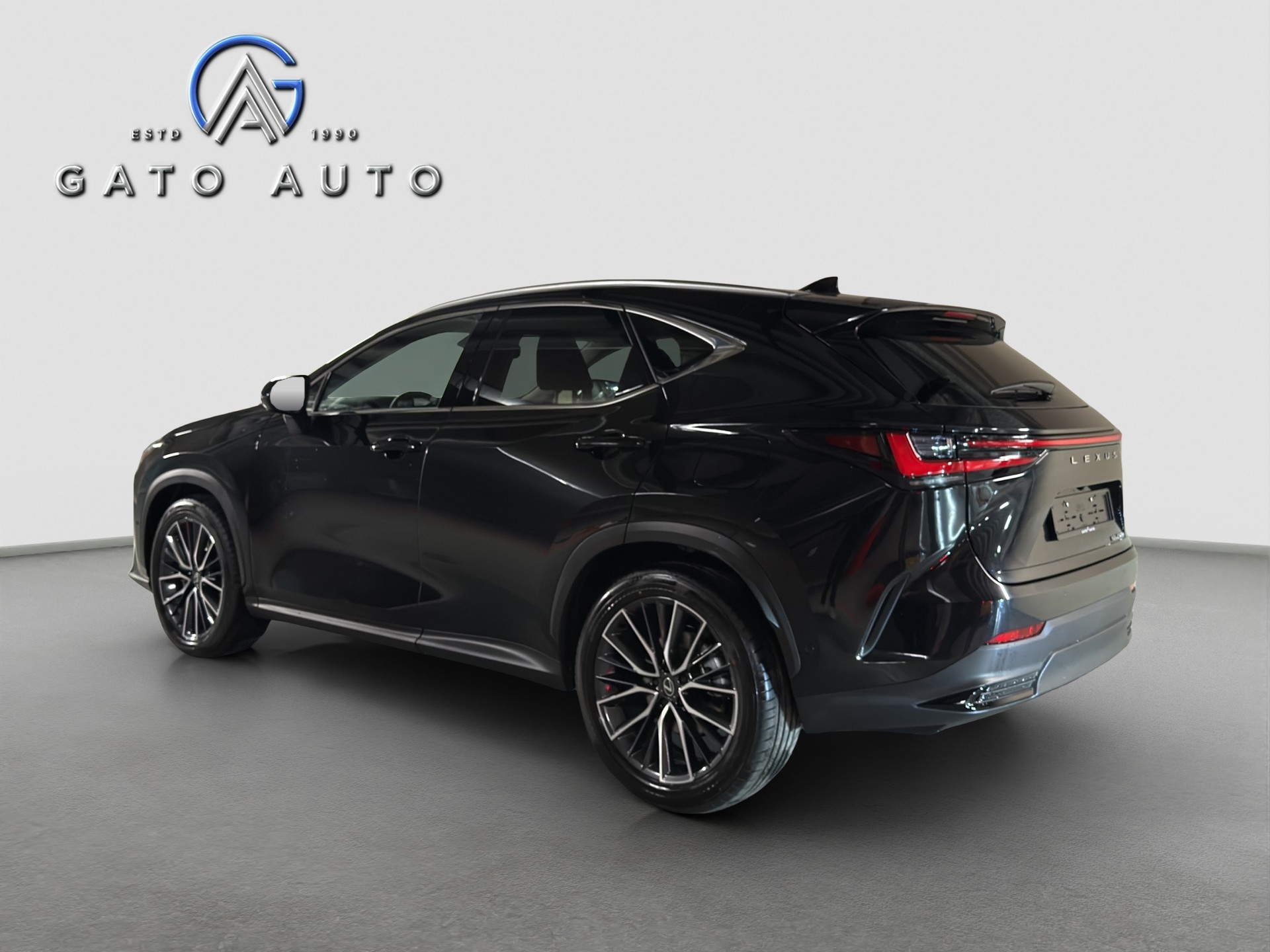 LEXUS NX 450h+ E-FOUR Excellence-showroom-element-3
