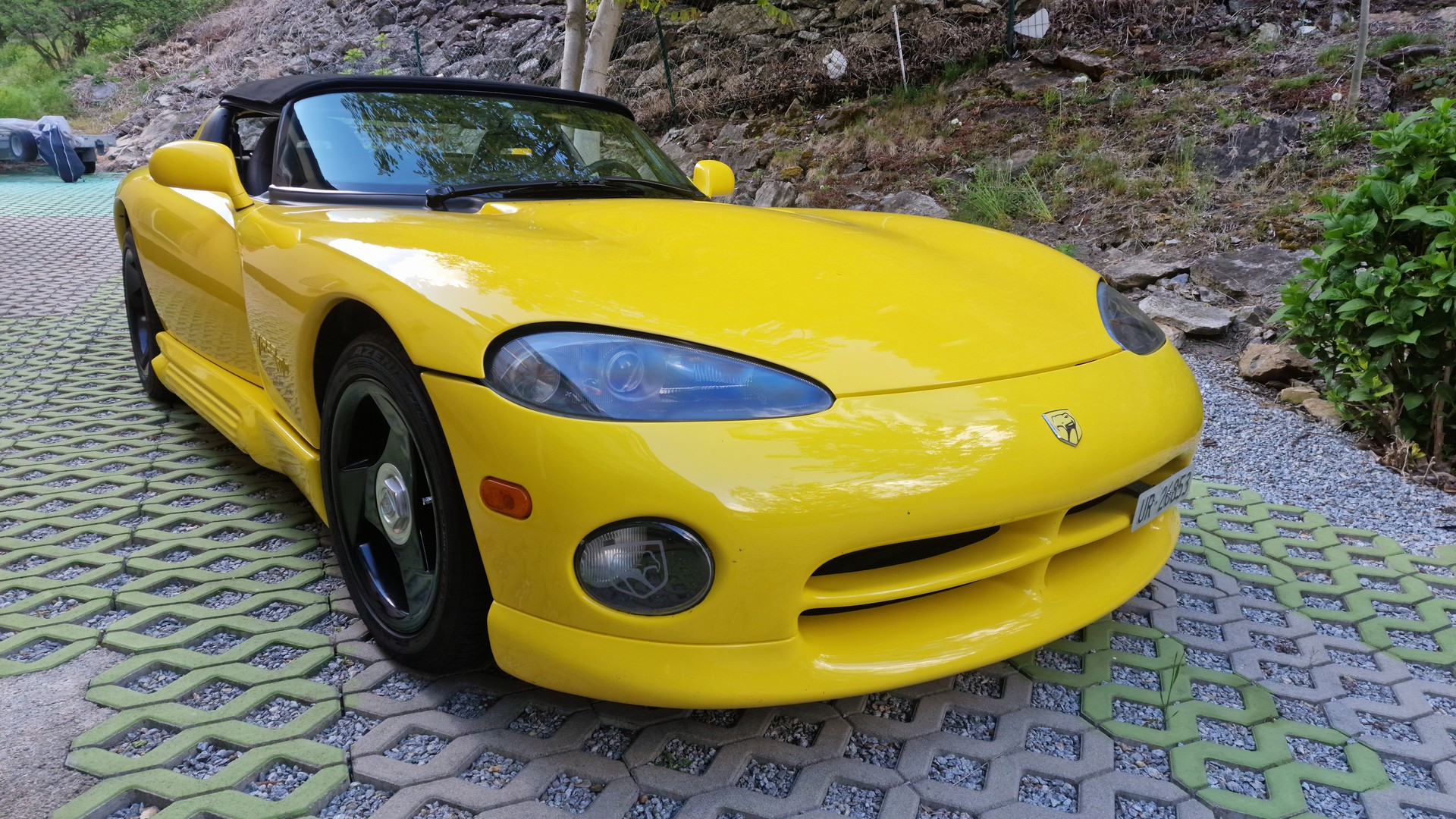 DODGE VIPER-image-10