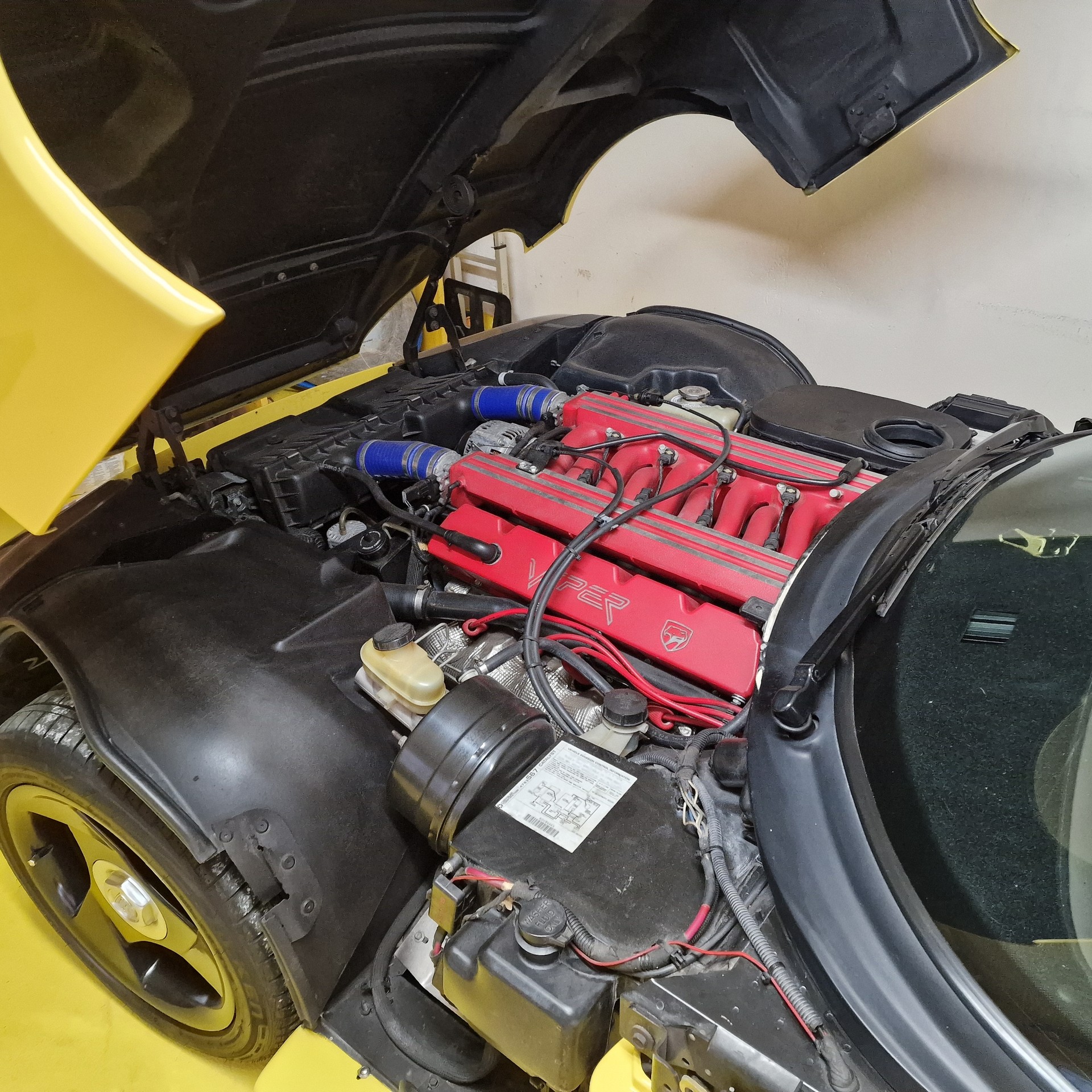 DODGE VIPER-image-2