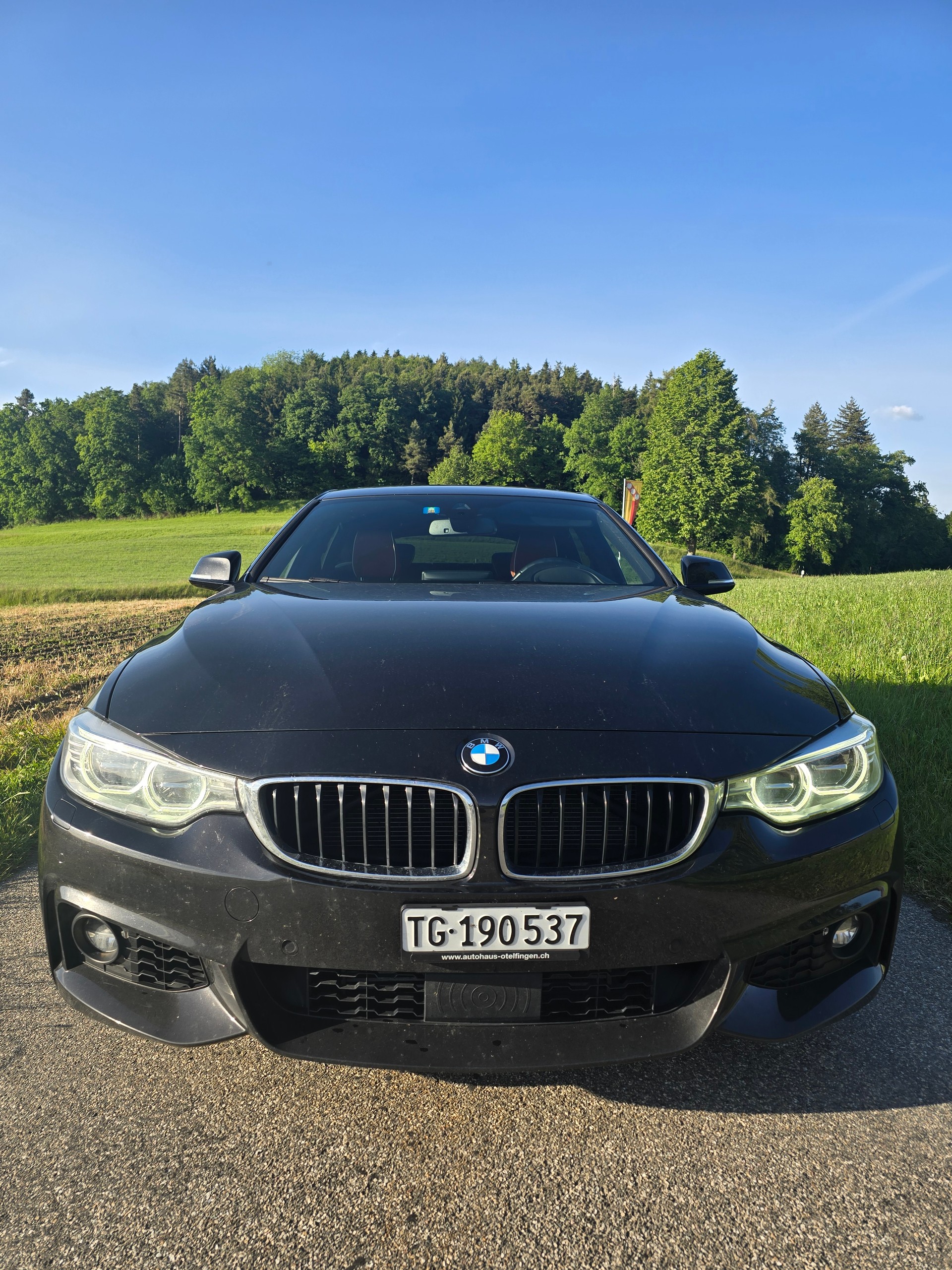 BMW 435d xDrive-image-2