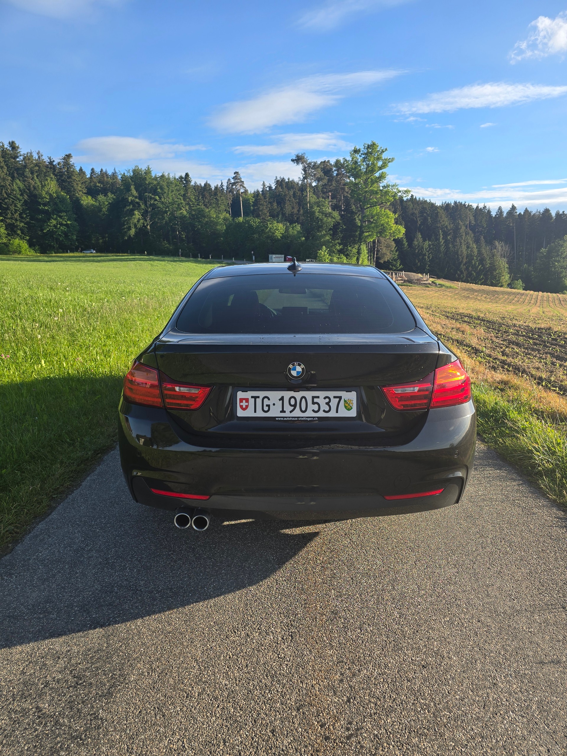 BMW 435d xDrive-image-4