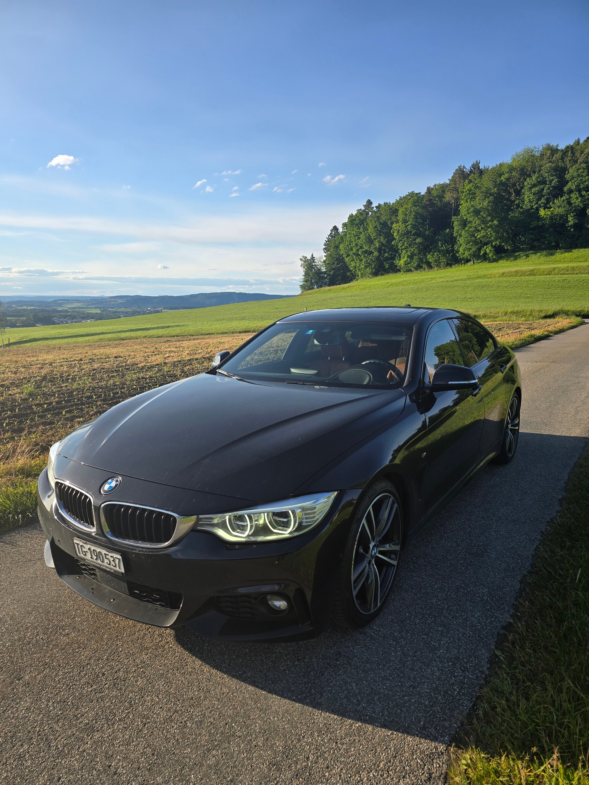 BMW 435d xDrive-image-3