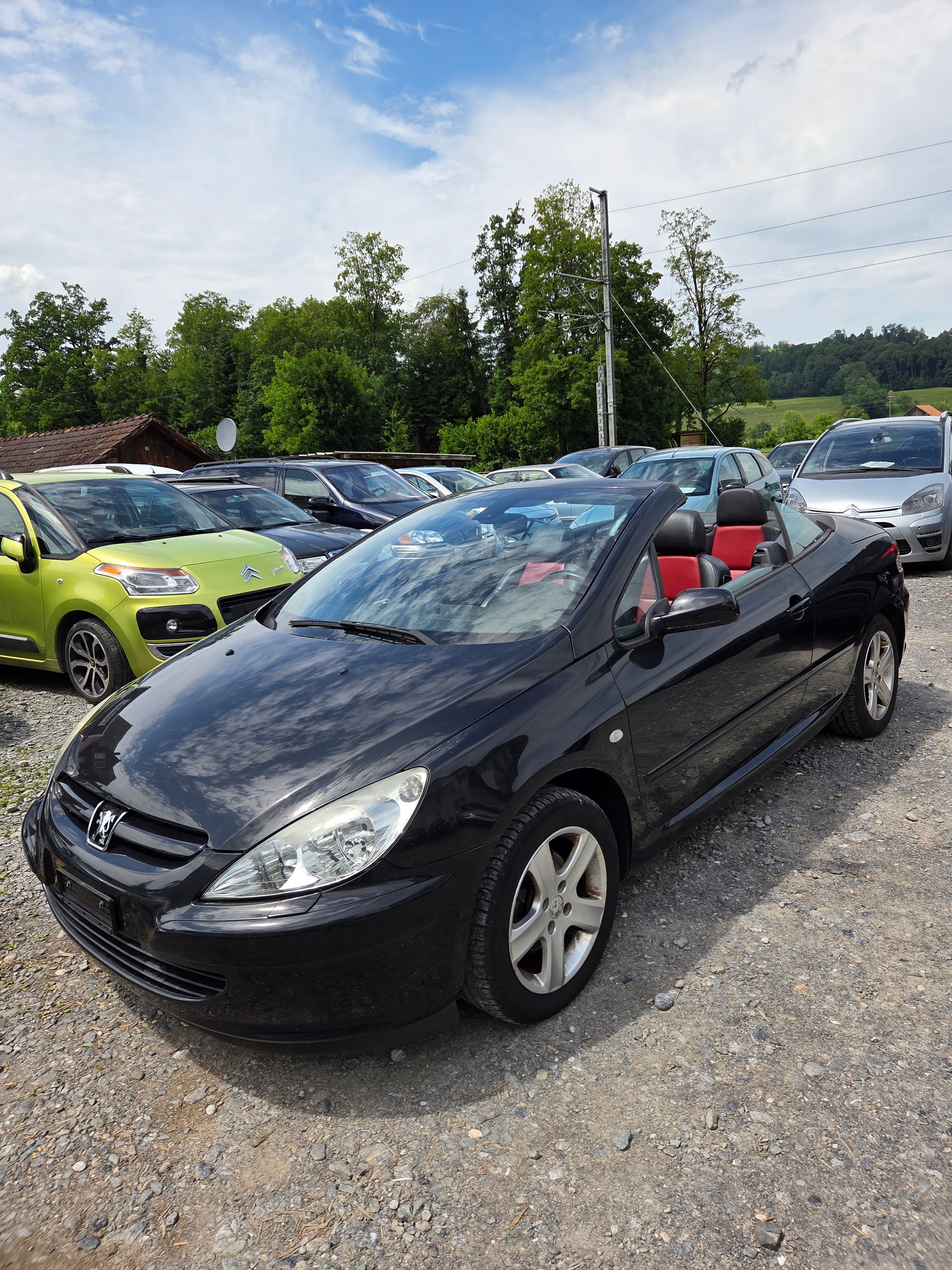PEUGEOT 307