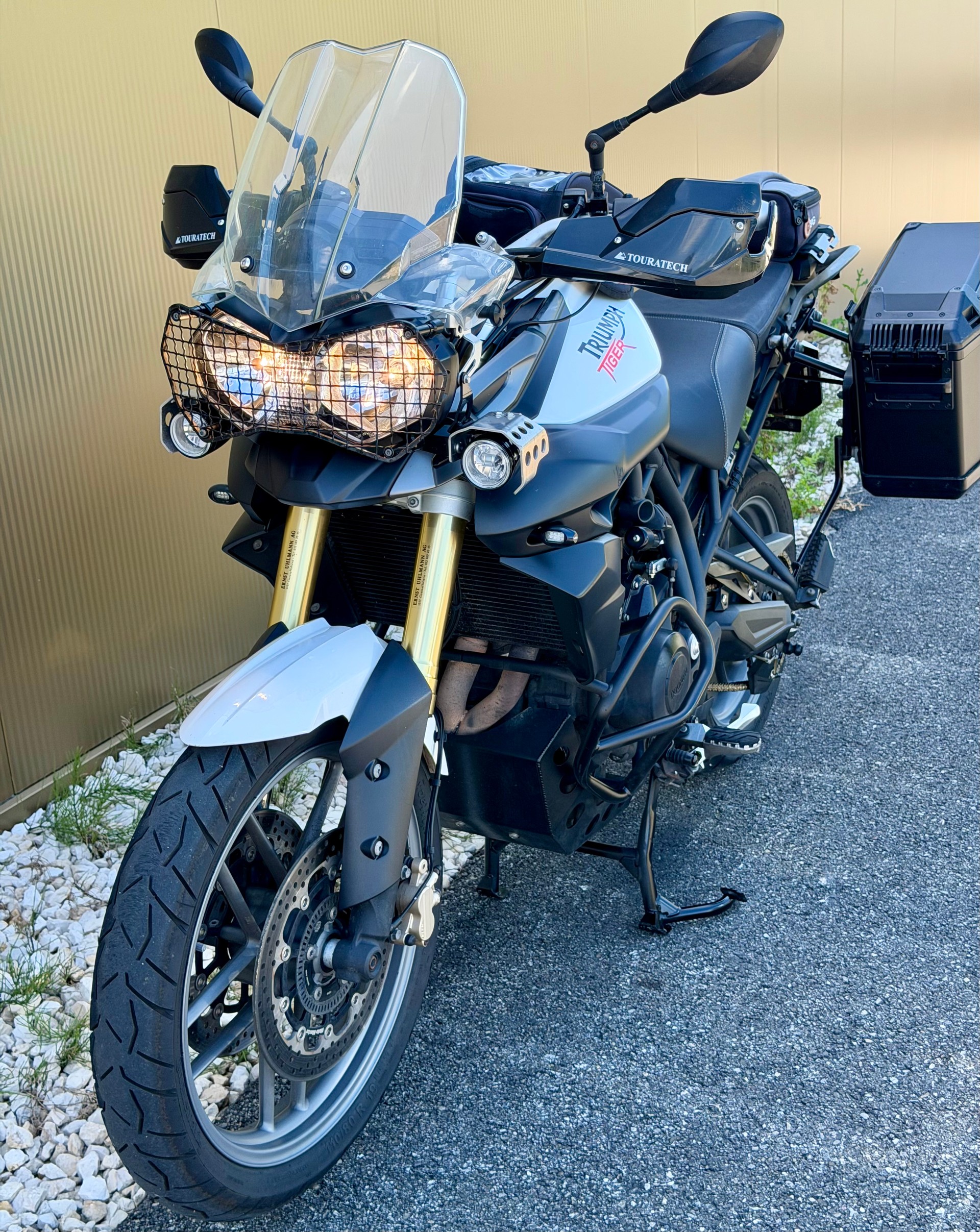 TRIUMPH Tiger 800 ABS-image-7