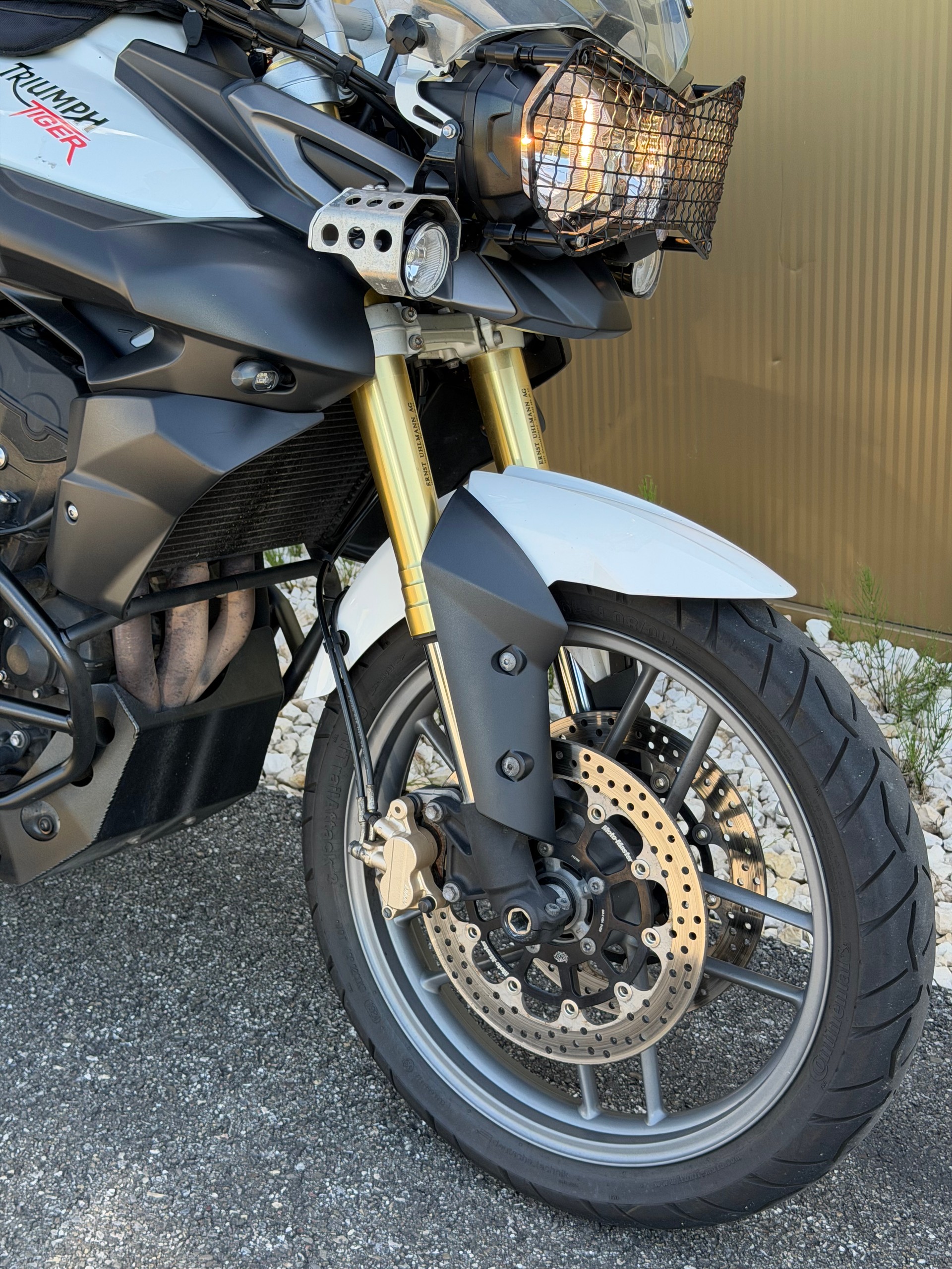 TRIUMPH Tiger 800 ABS-image-1