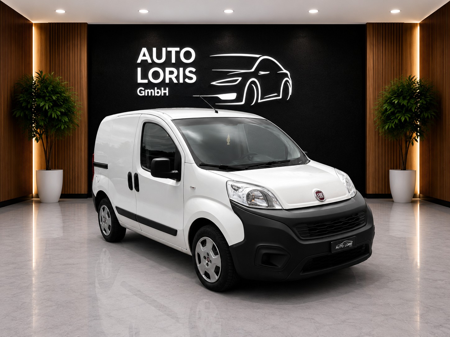 FIAT Fiorino 1.3 MJ Swiss-image-1